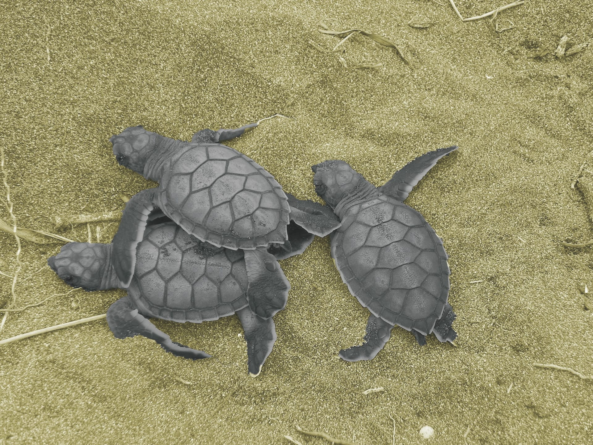 SAM_CR_20211103_NH_5