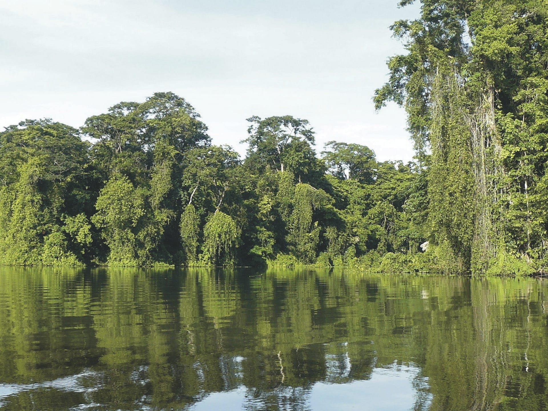 SAM_CR_20211108_NH_1