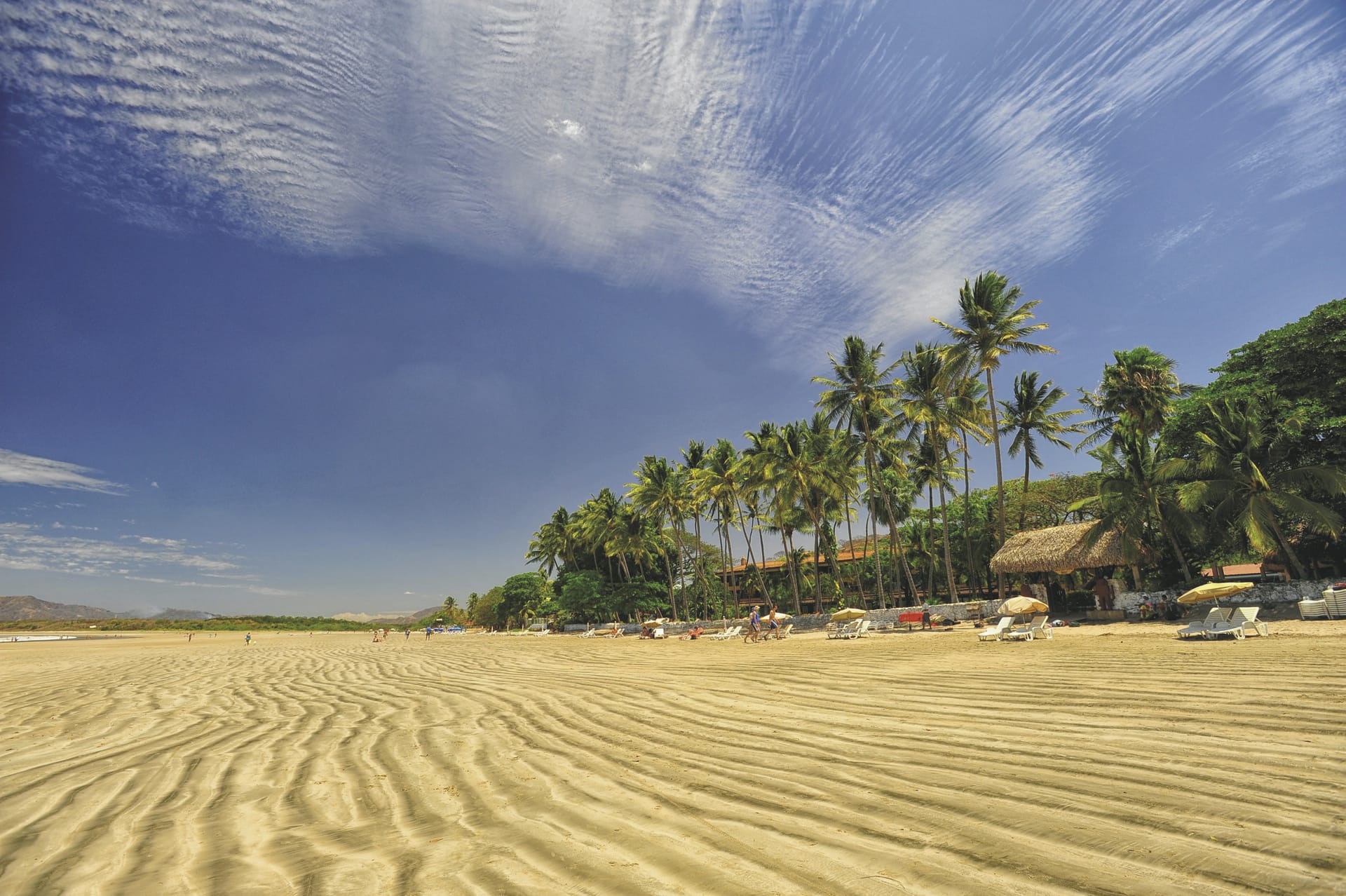 SAM_CR_20211118_NH2_4