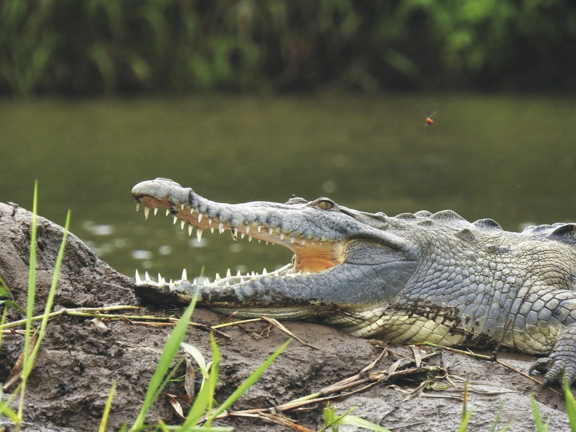 SAM_CR_20211122_NH2_8