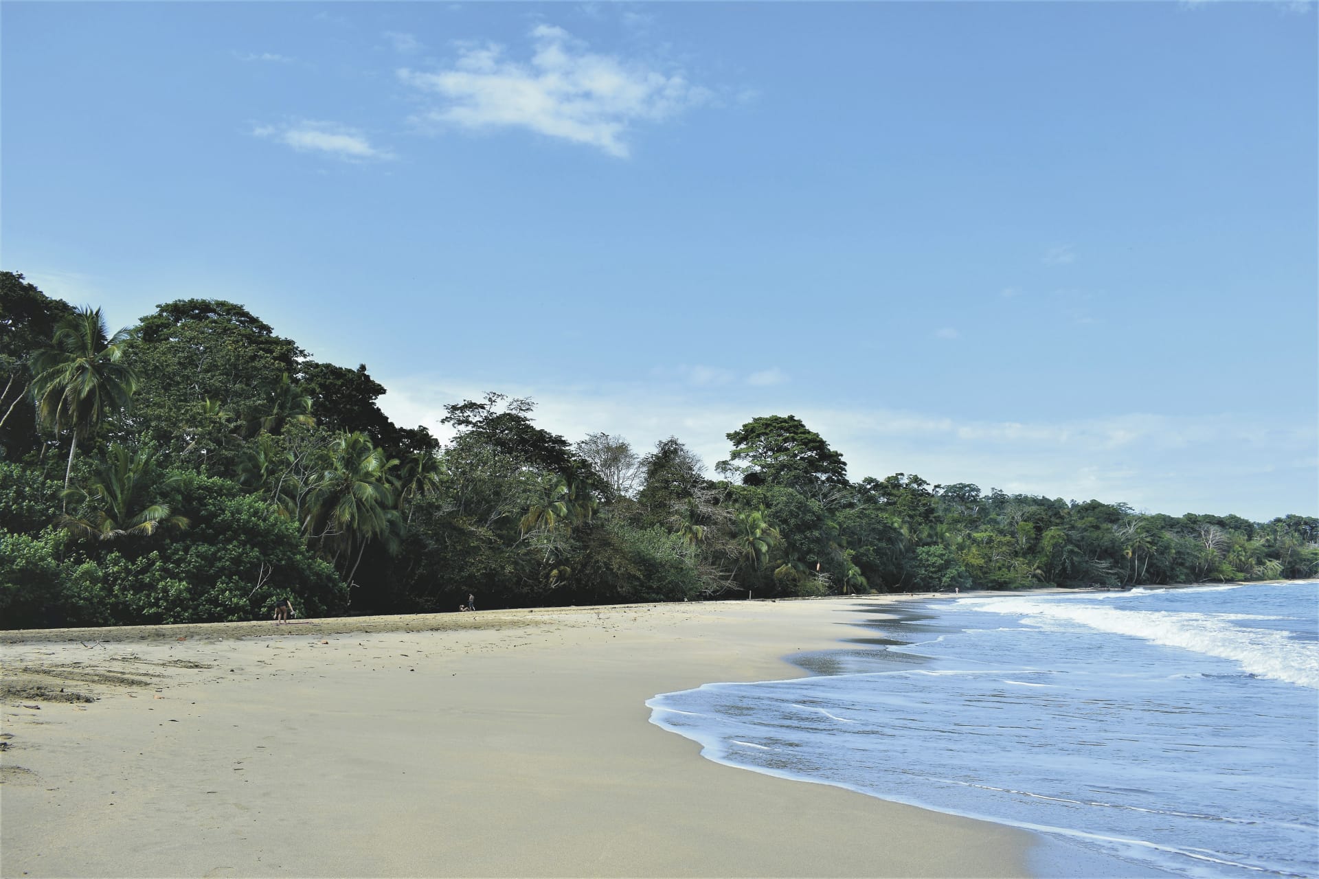 SAM_CR_20211122_NH_1