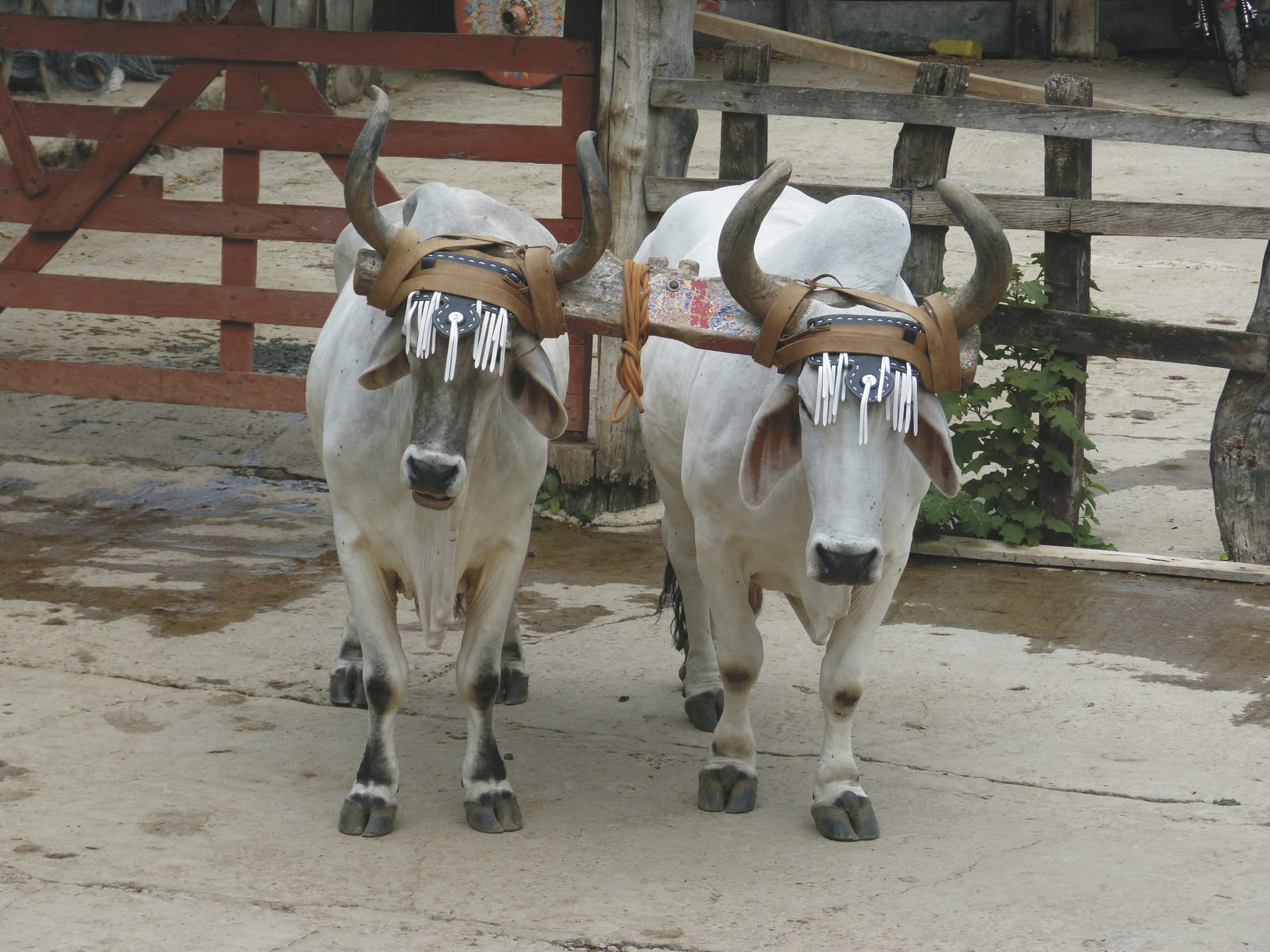 SAM_CR_20211122_NH_3