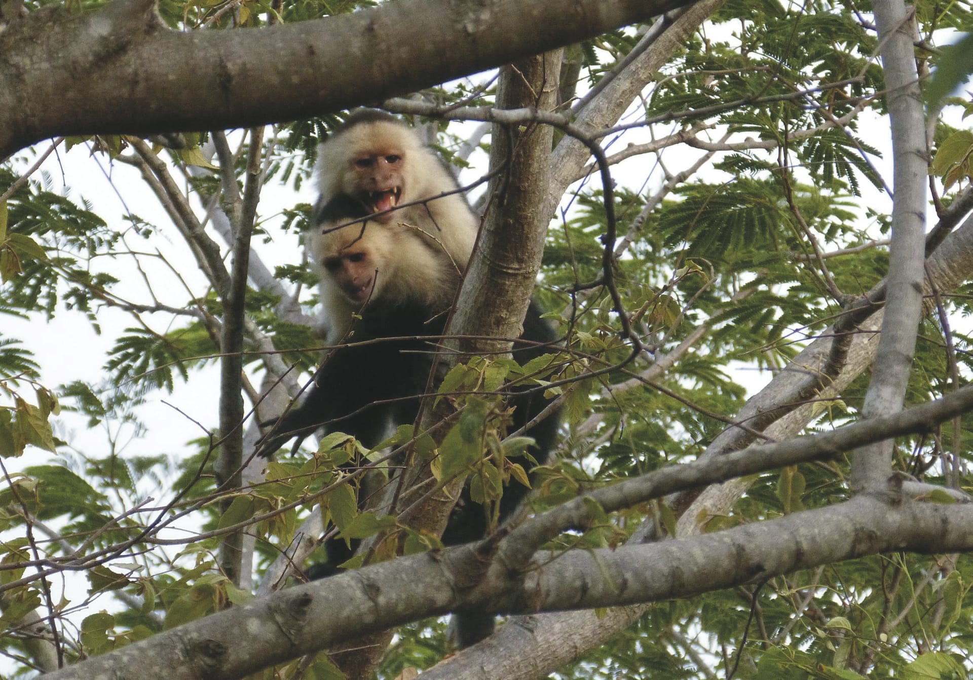 SAM_CR_20211122_NH_7