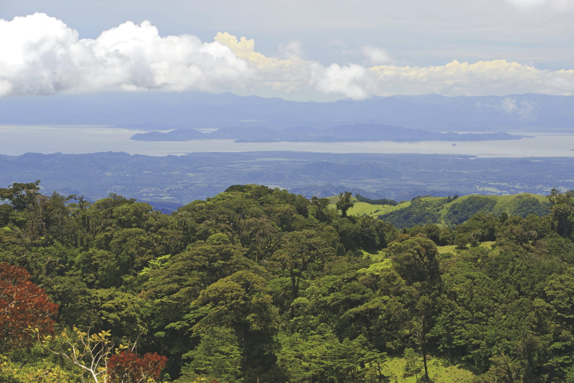 SAM_CR_20211124_NH_1