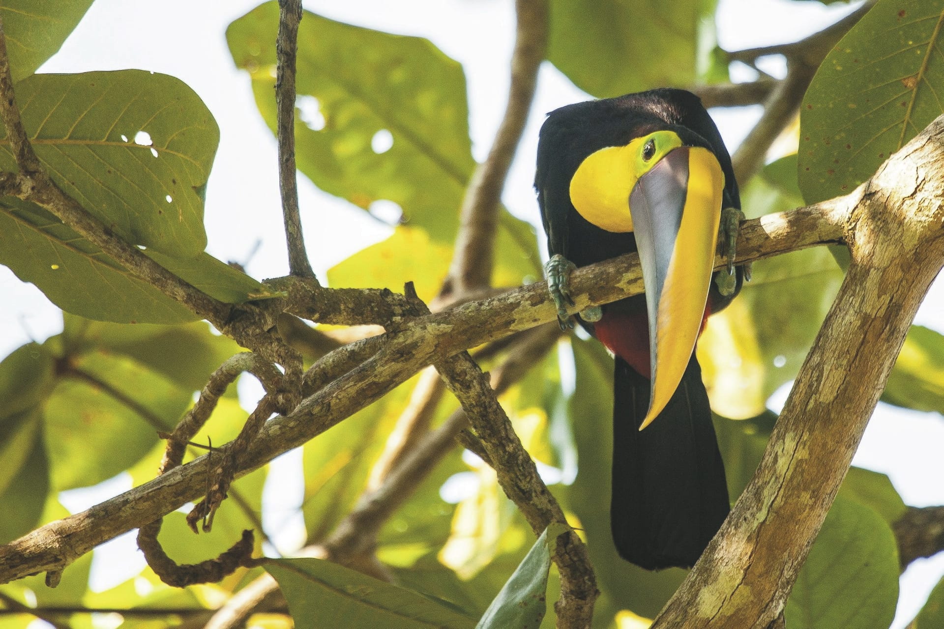 SAM_CR_20211124_NH_11