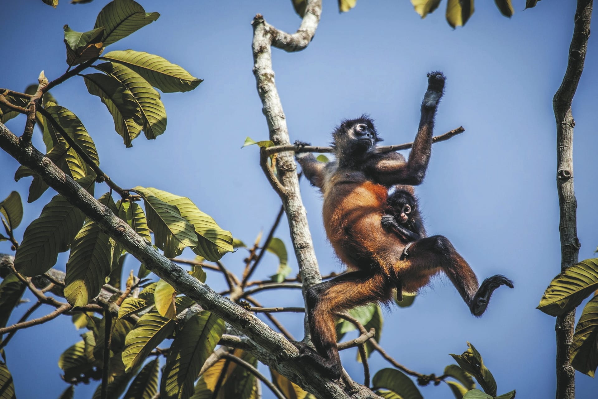 SAM_CR_20211124_NH_12