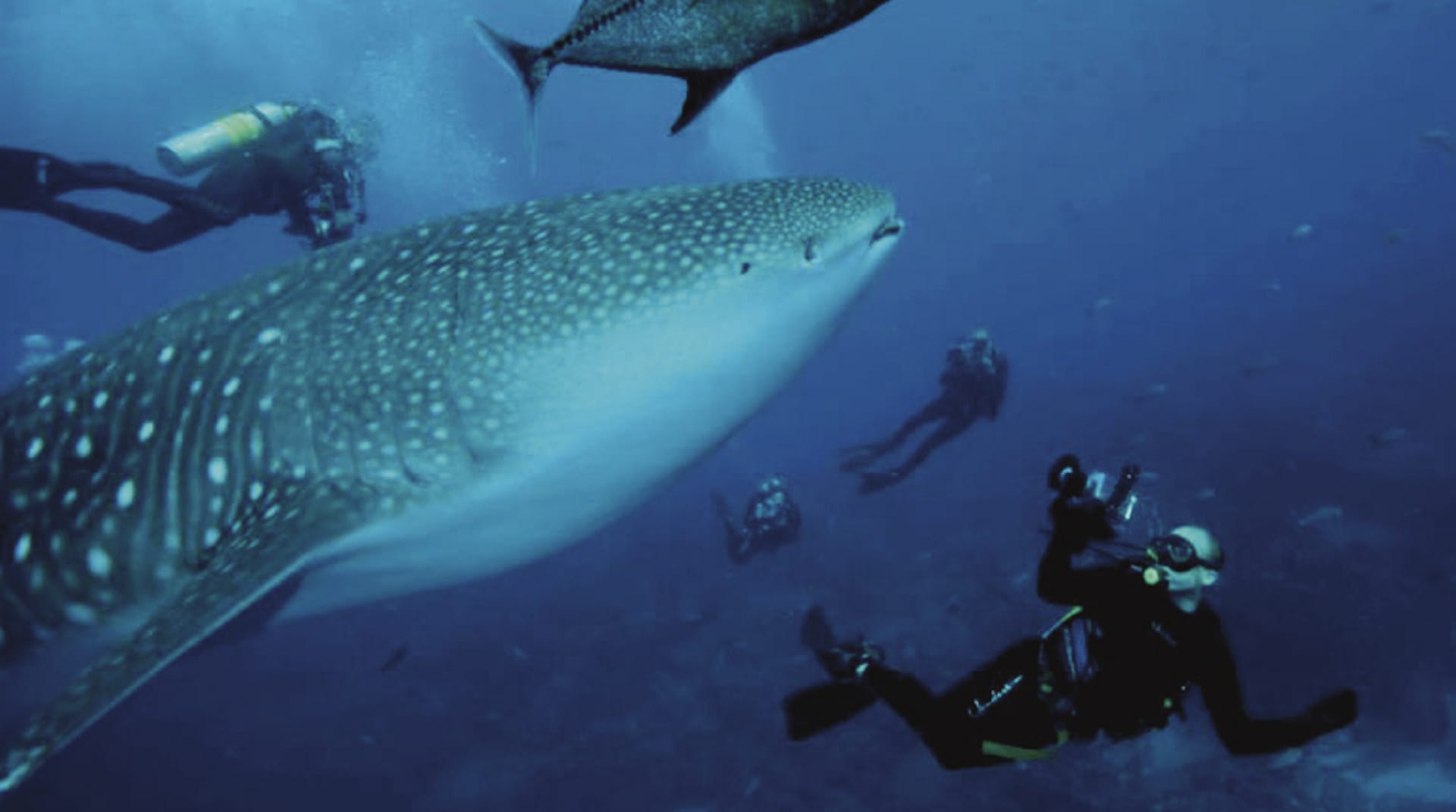 SAM_EC_002_20171016_ss