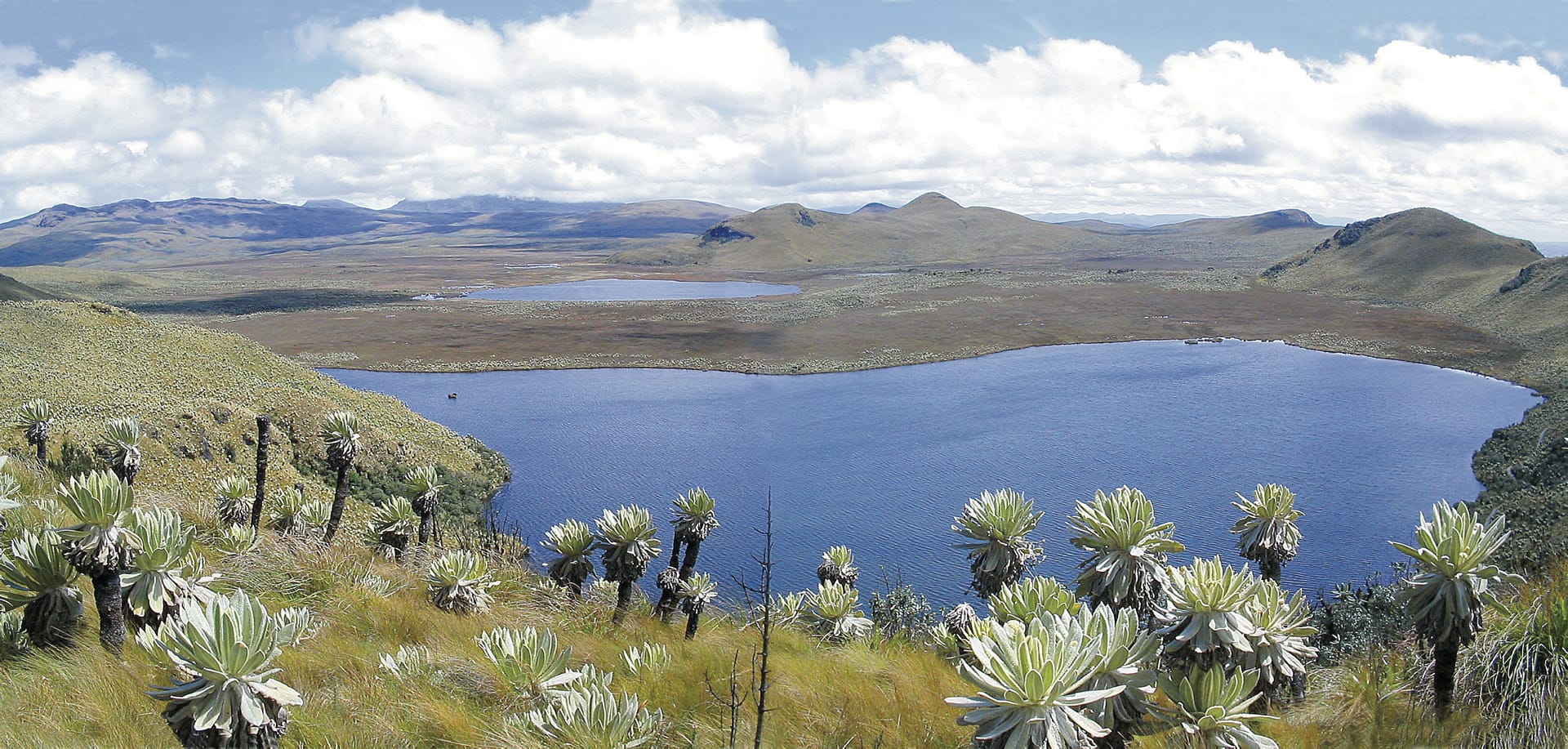 SAM_EC_005_20170410_ss