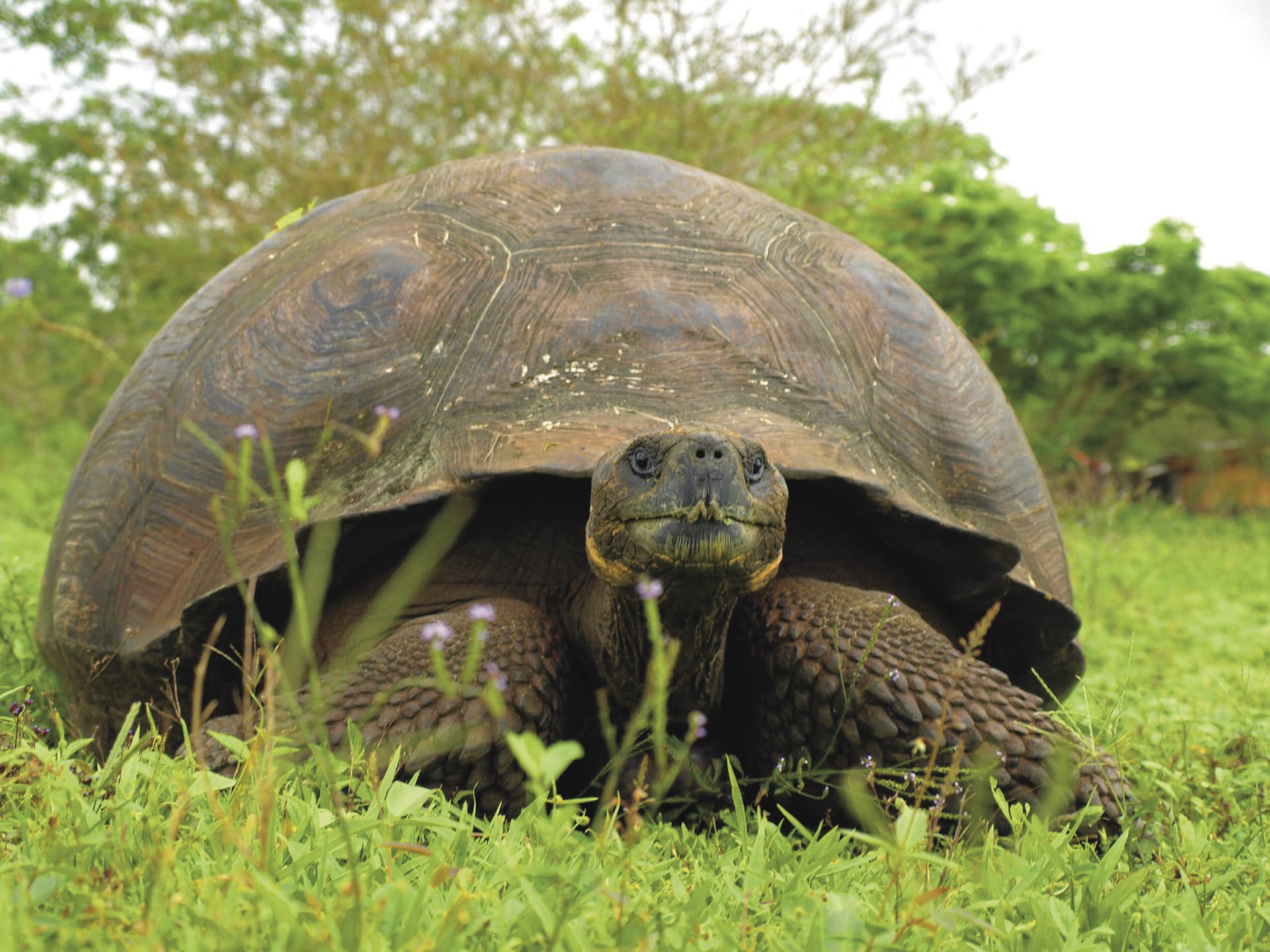 SAM_EC_008_20141022_AD