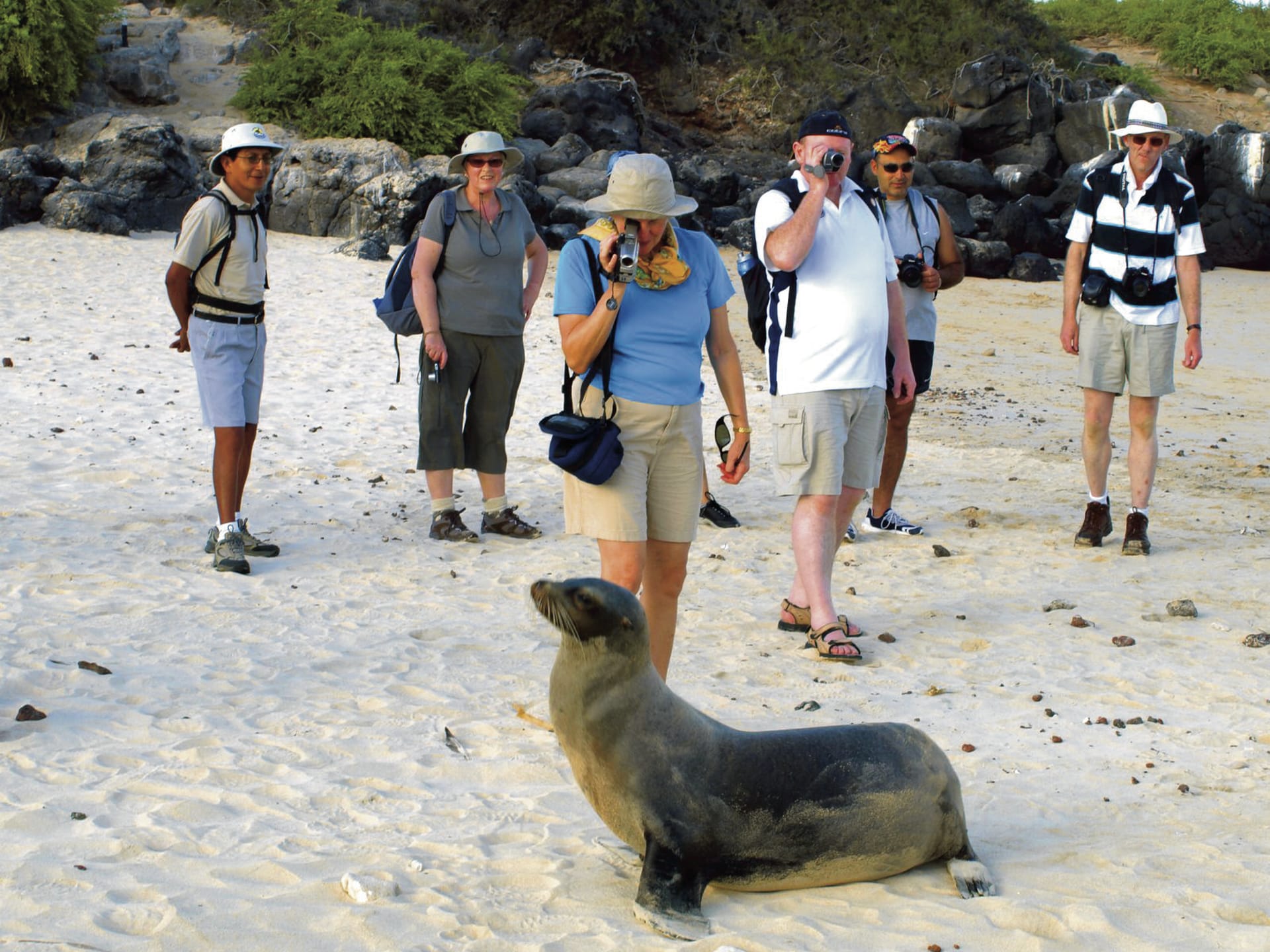 SAM_EC_009_20141022_AD