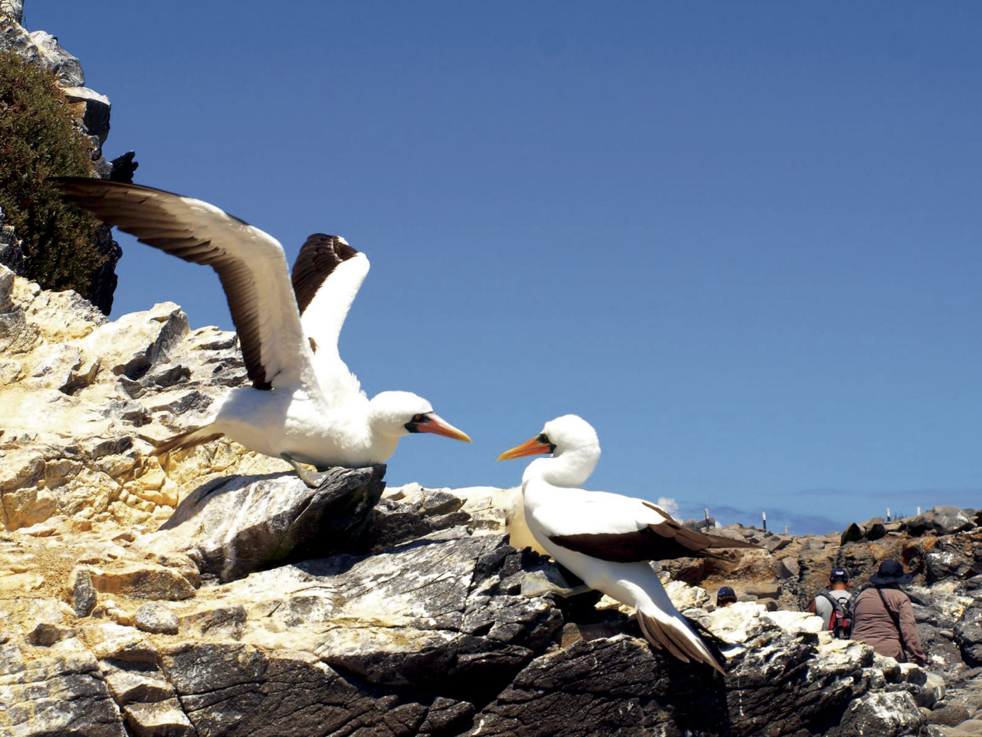 SAM_EC_011_20141022_AD