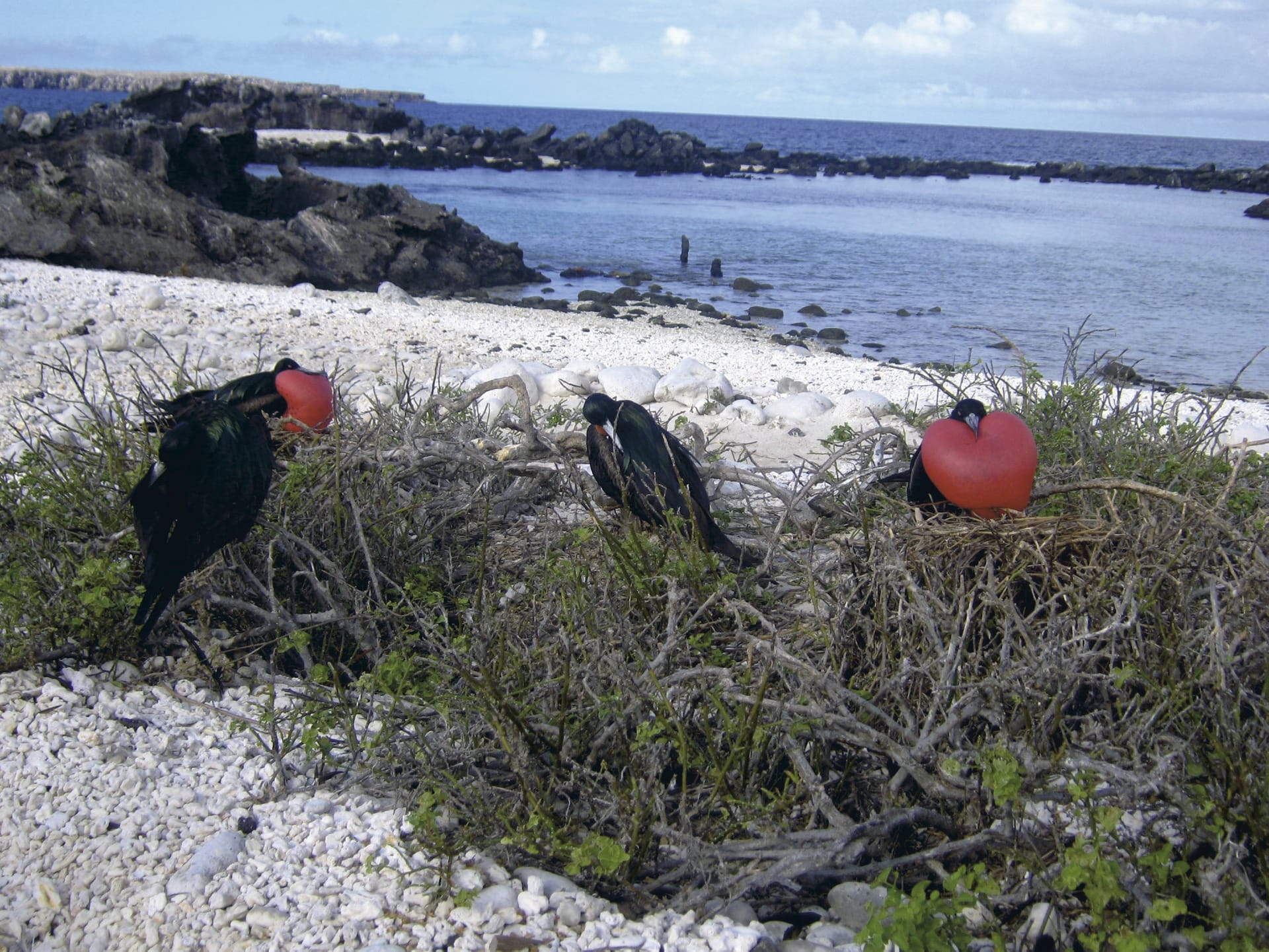 SAM_EC_022_20120621_PP