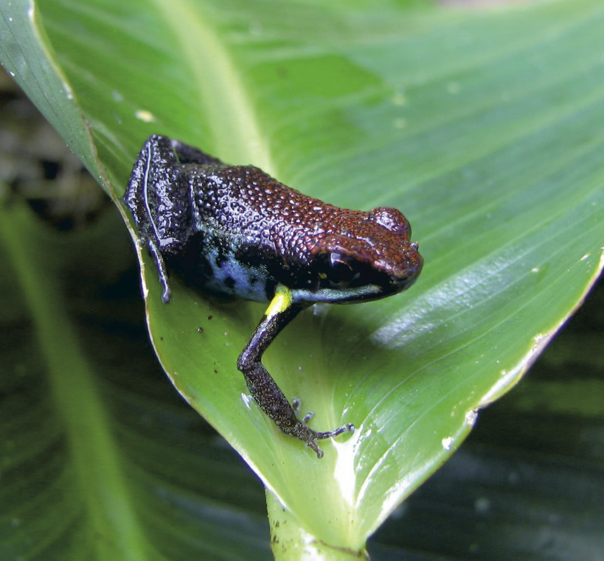 SAM_EC_093_20120713_PP