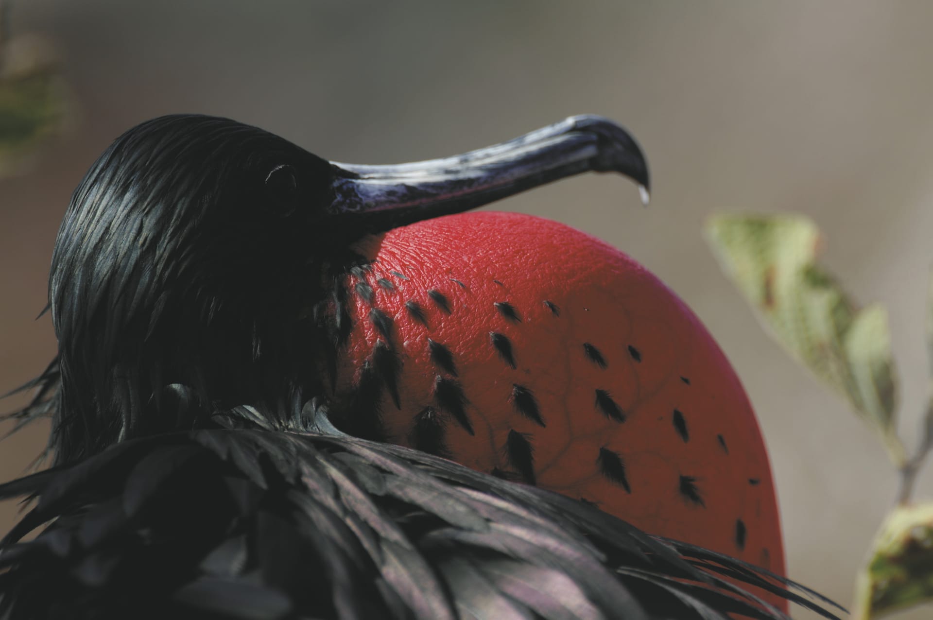 SAM_EC_20181006_MB_52