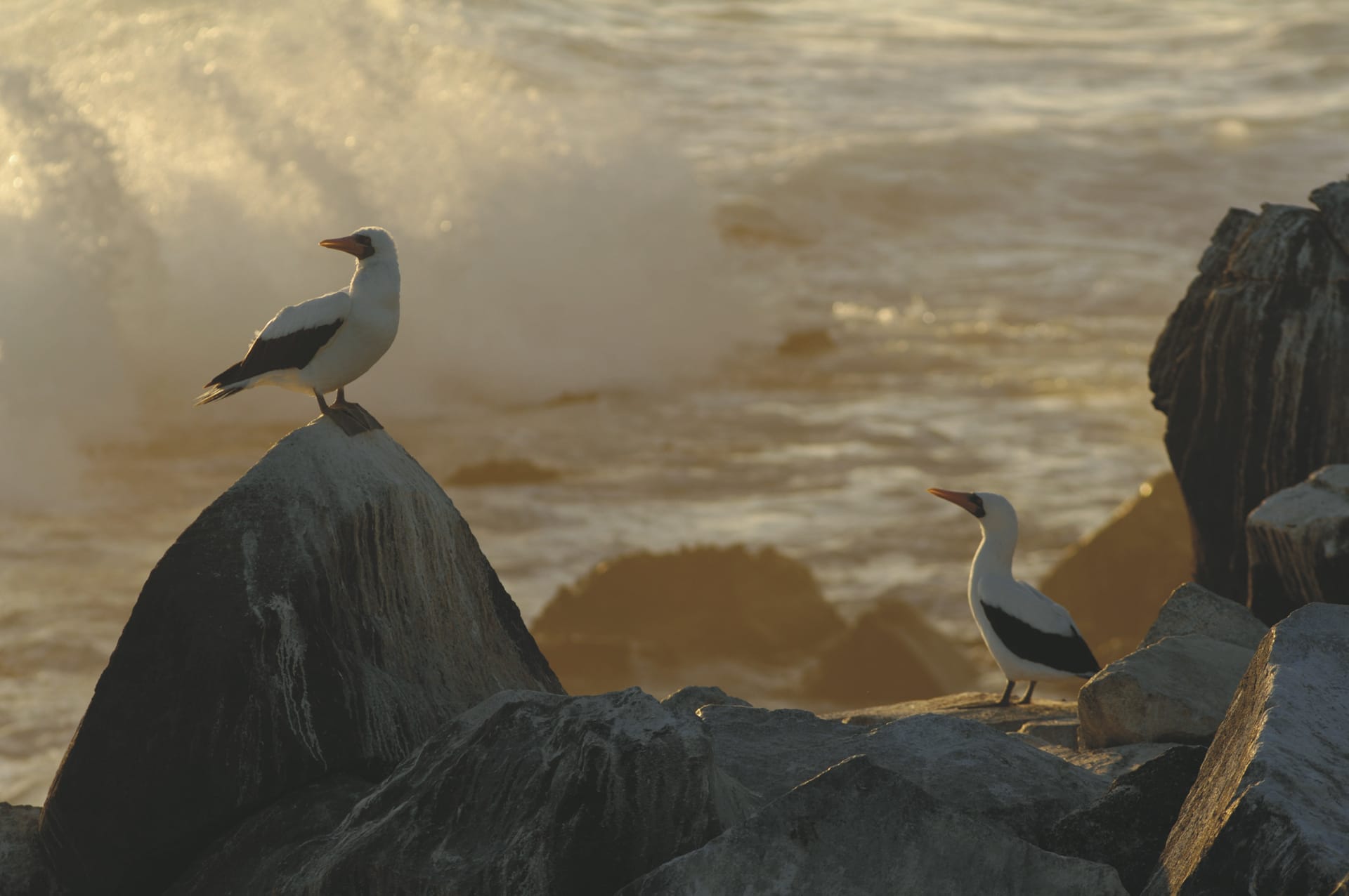 SAM_EC_20181006_MB_53