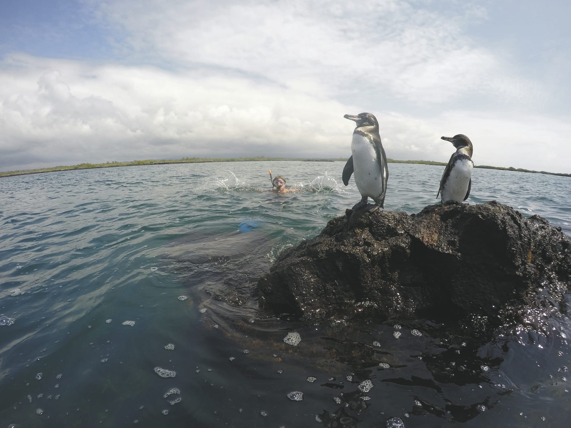 SAM_EC_20181006_MB_54