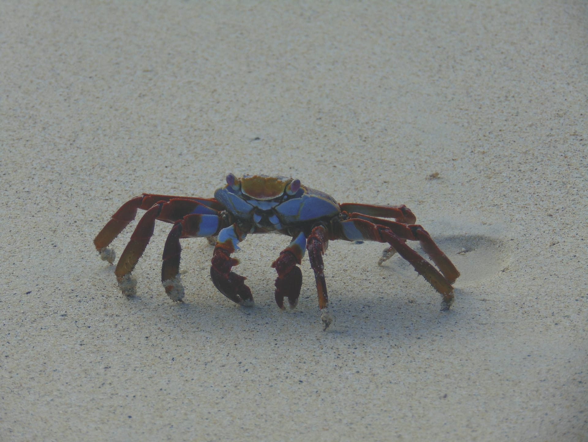 SAM_EC_20181015_BM_1