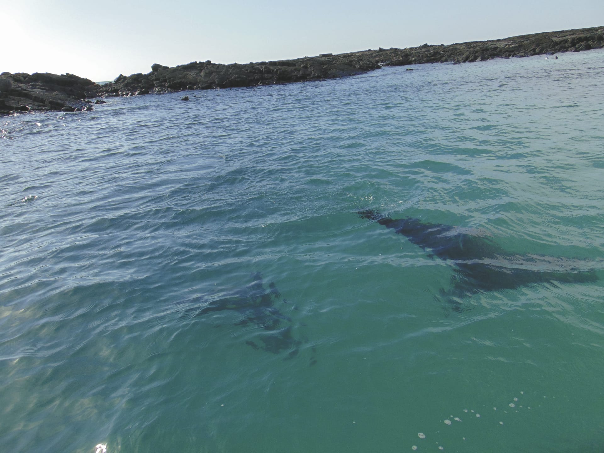 SAM_EC_20181015_BM_11