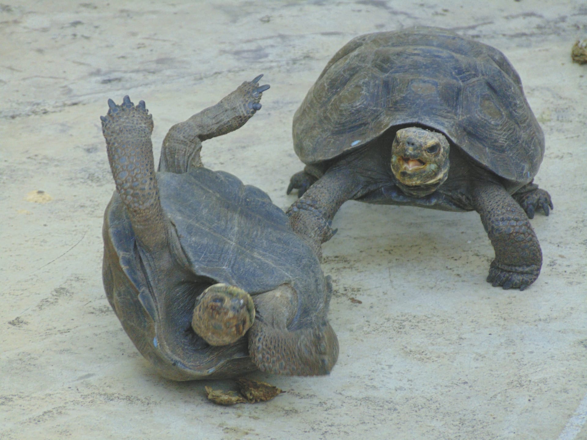 SAM_EC_20181015_BM_8