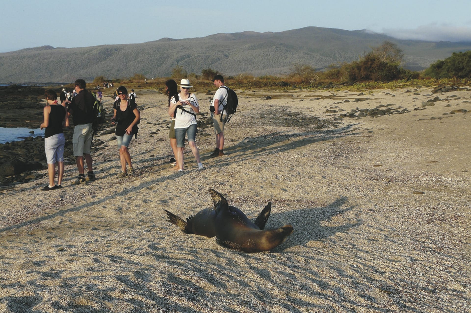 SAM_EC_20190120_IW_3