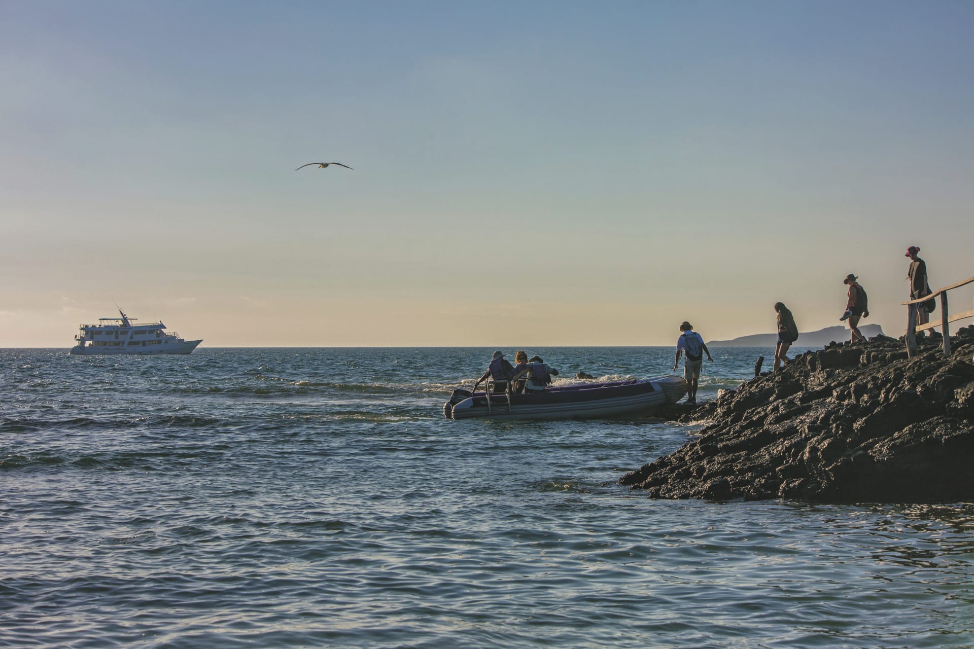 SAM_EC_20210114_MB_5