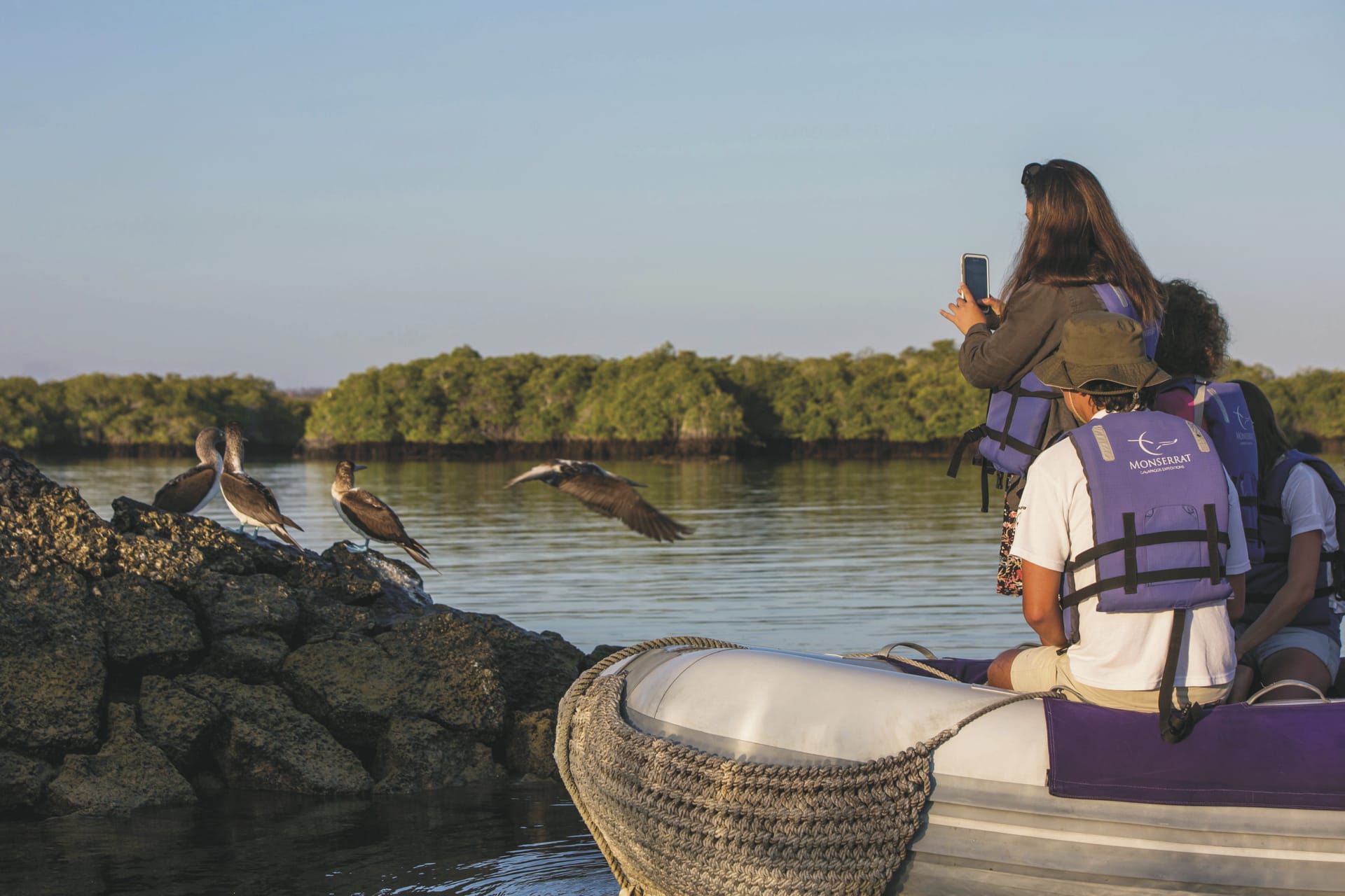 SAM_EC_20210114_MB_7