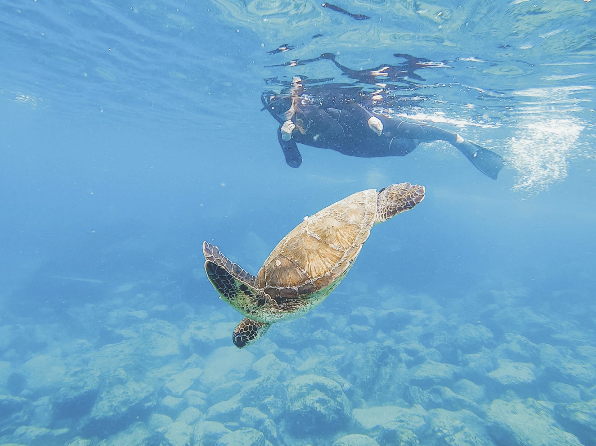 SAM_EC_20241110_MB_13