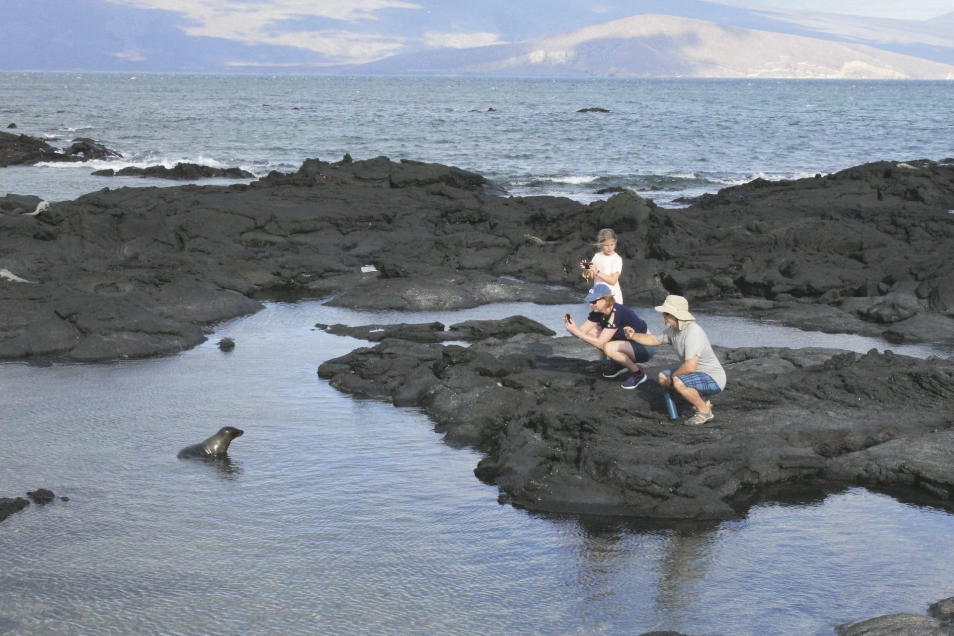 SAM_EC_20241110_MB_1_3