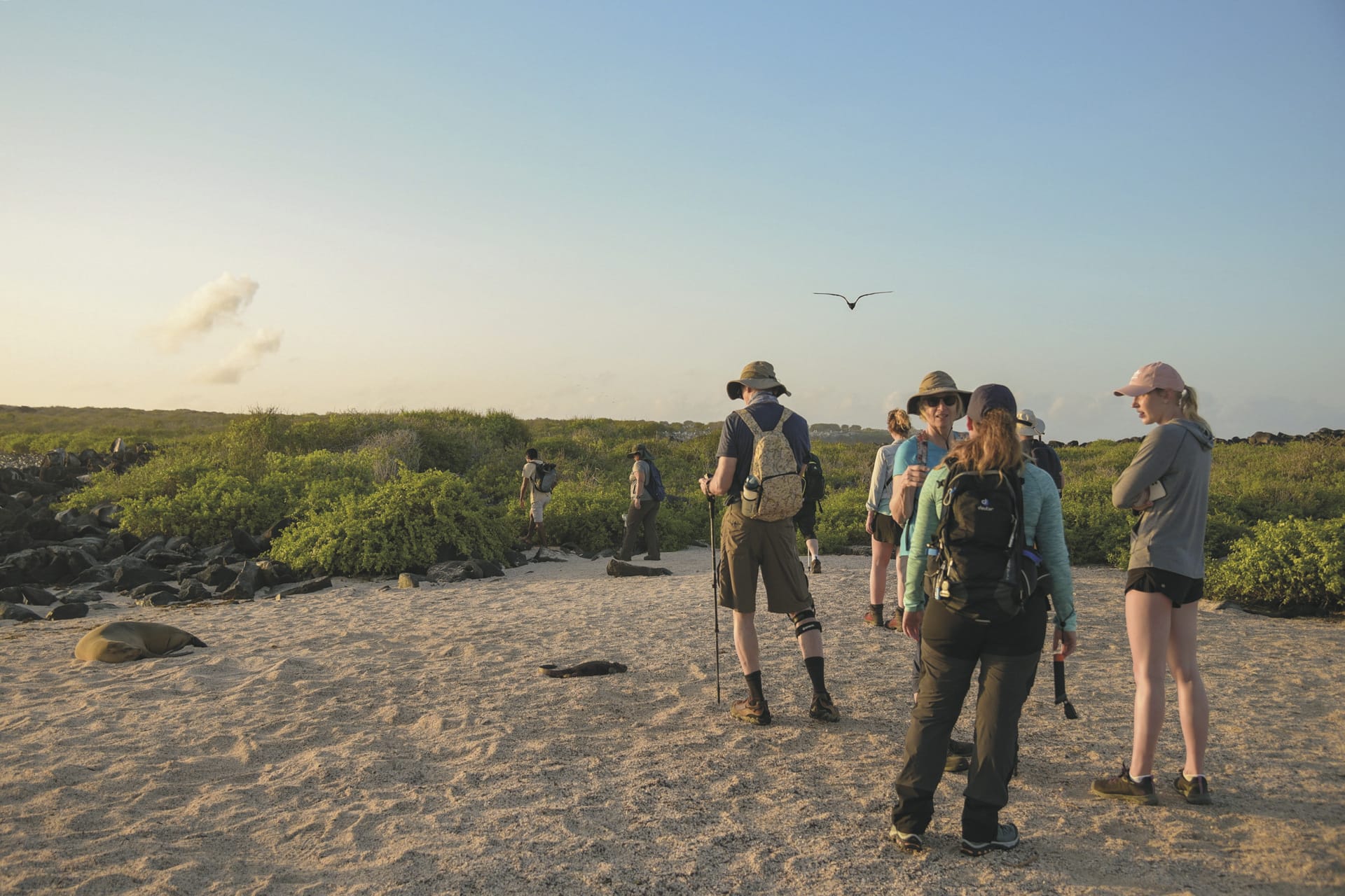 SAM_EC_20241110_MB_9