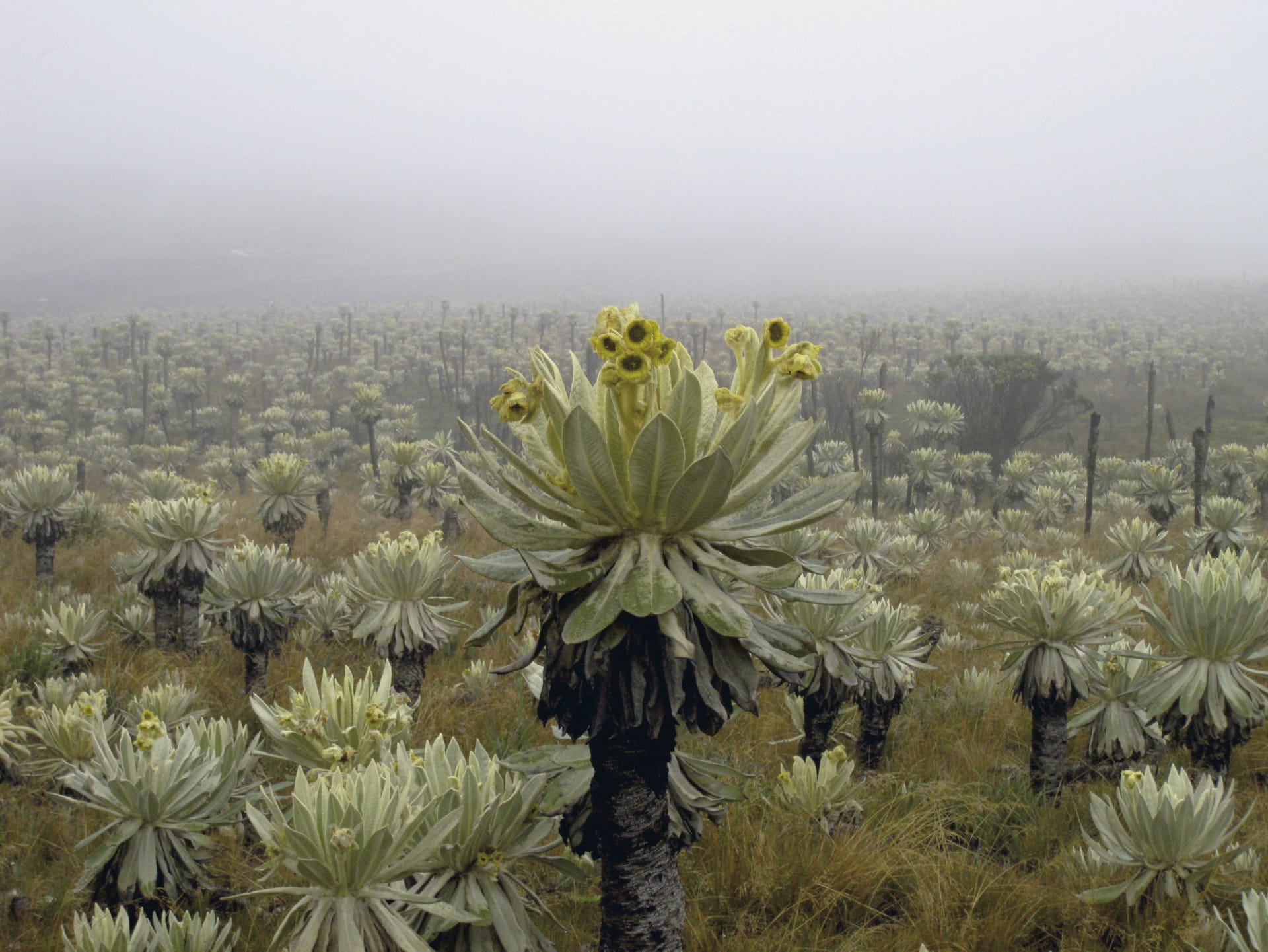 SAM_EC_259_20131016_PP