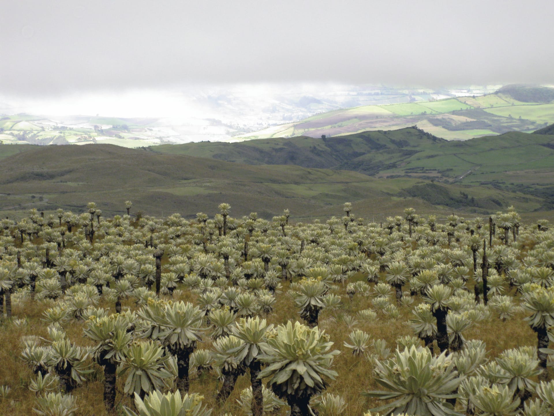 SAM_EC_261_20131016_PP