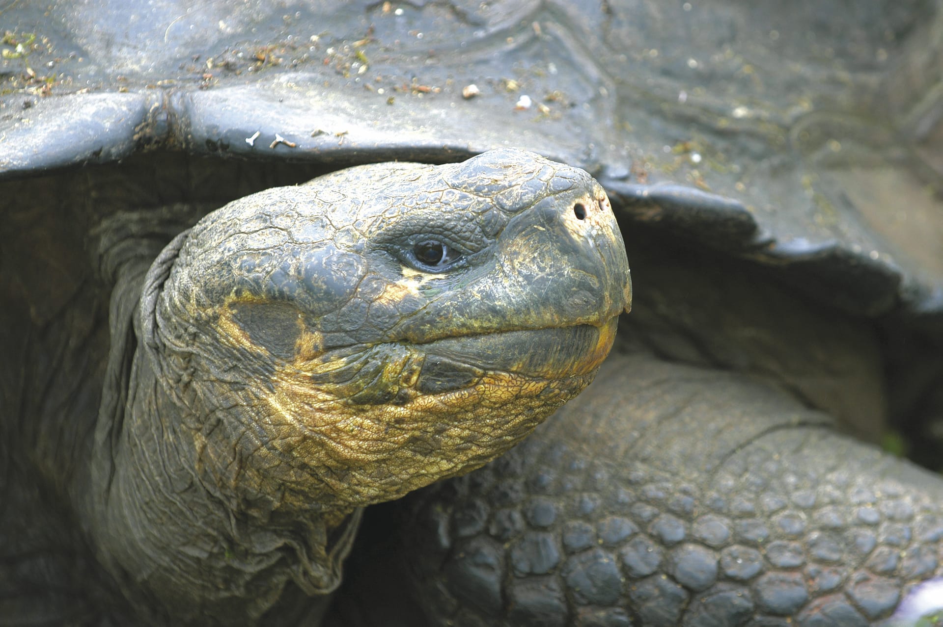 SAM_EC_271_20081125_KA