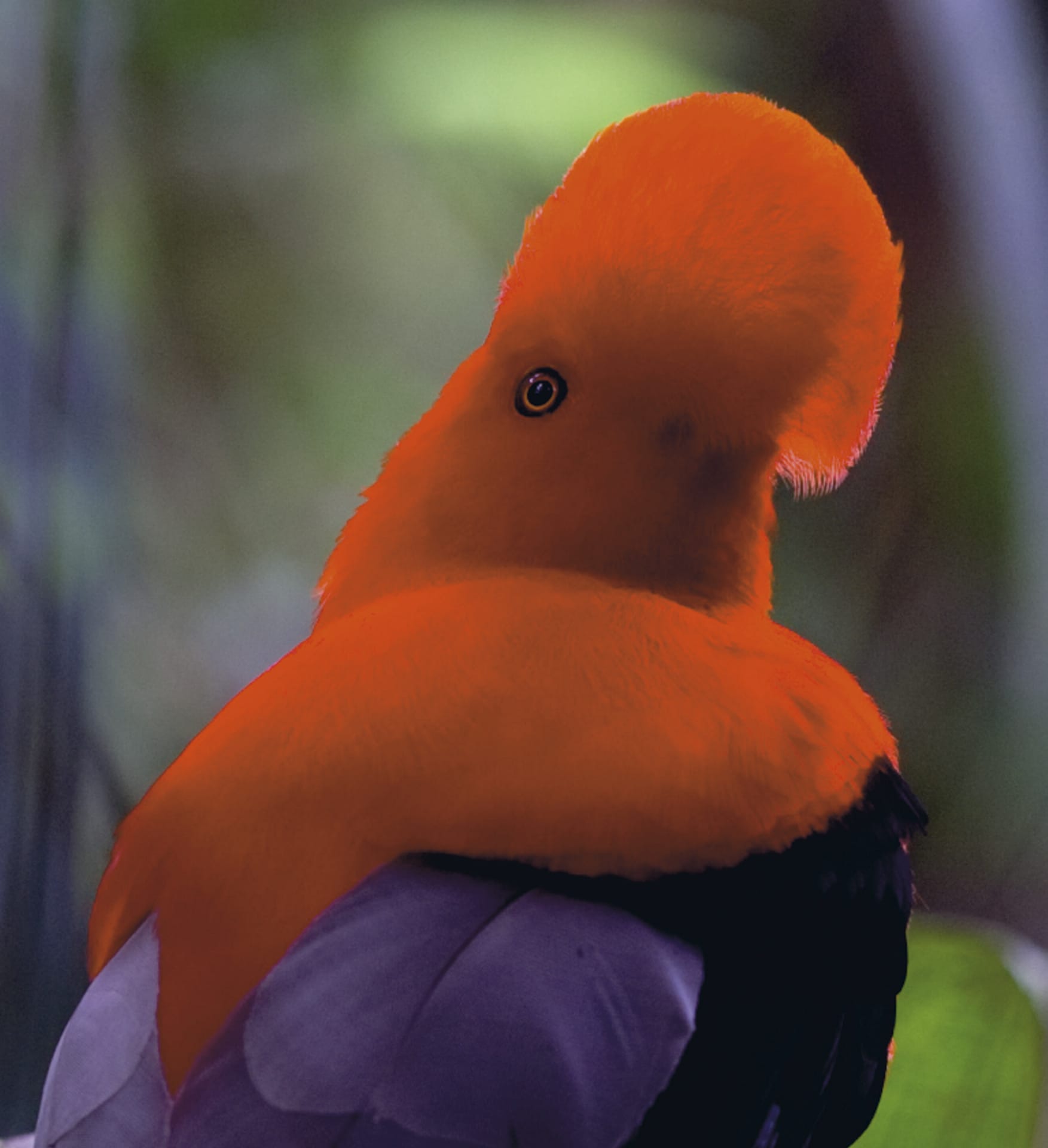 SAM_EC_354_20111025_PP