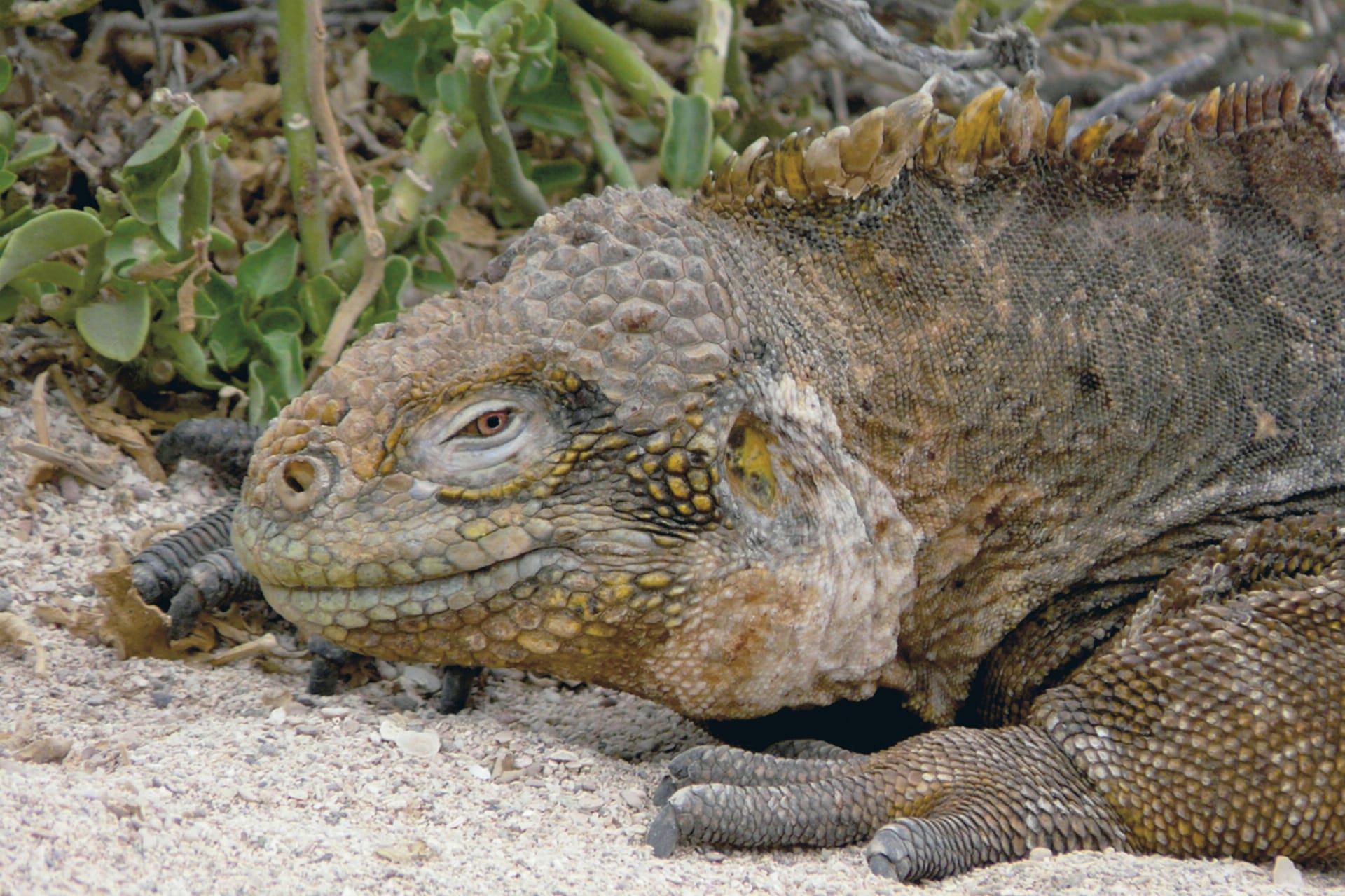 SAM_EC_568_20131130_PP