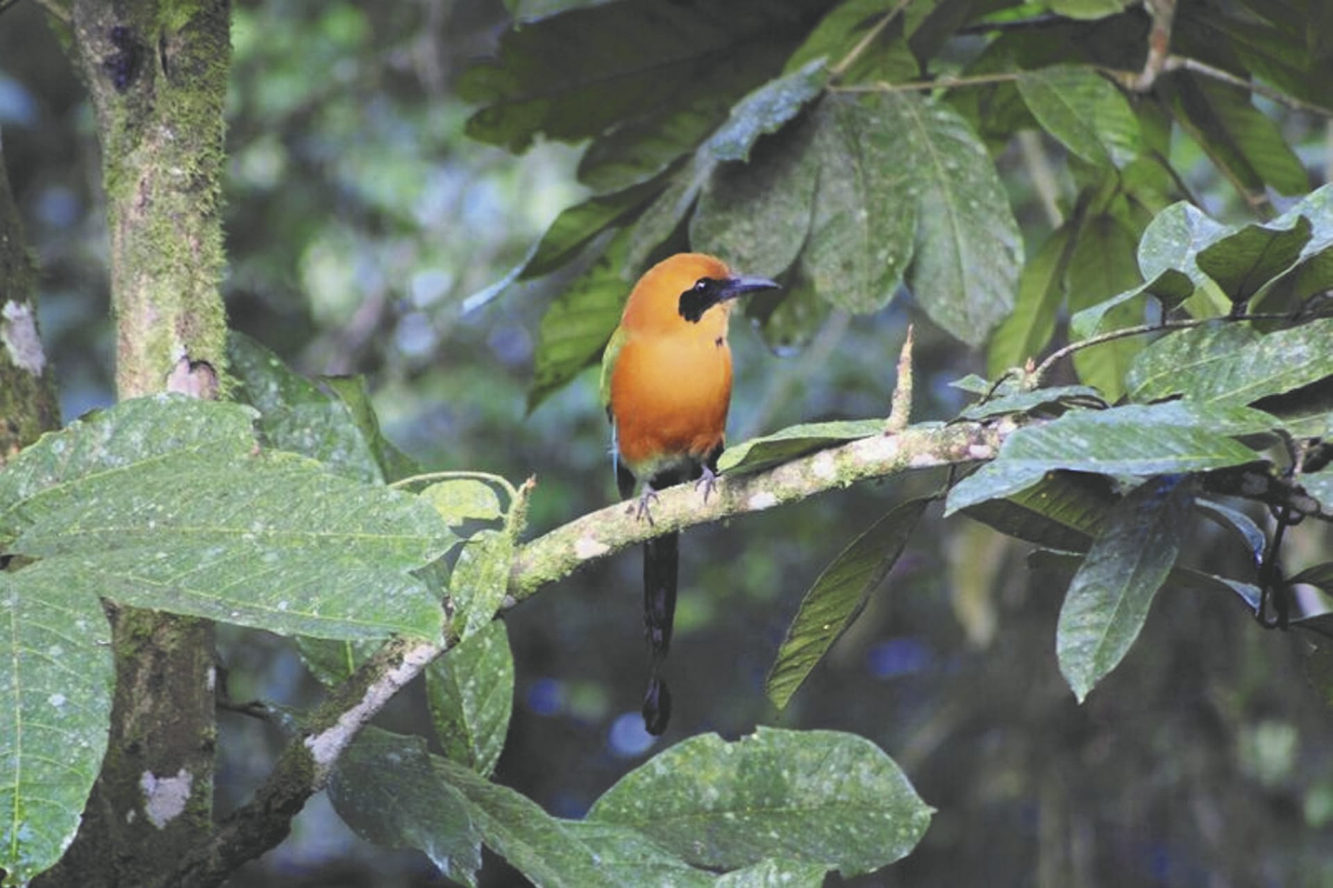 SAM_EC_843_20161014_PP