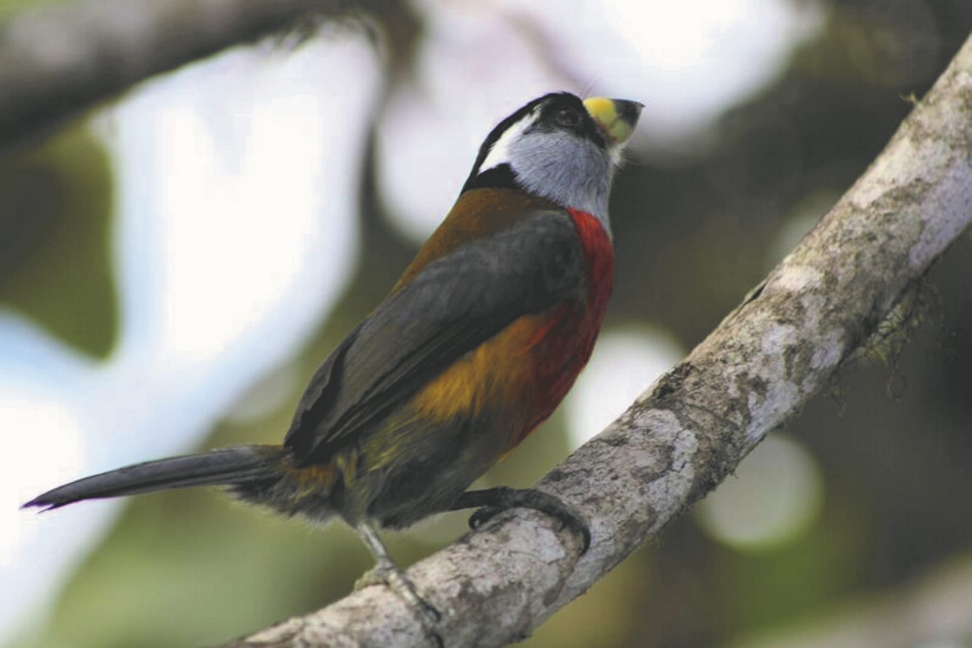 SAM_EC_845_20161014_PP