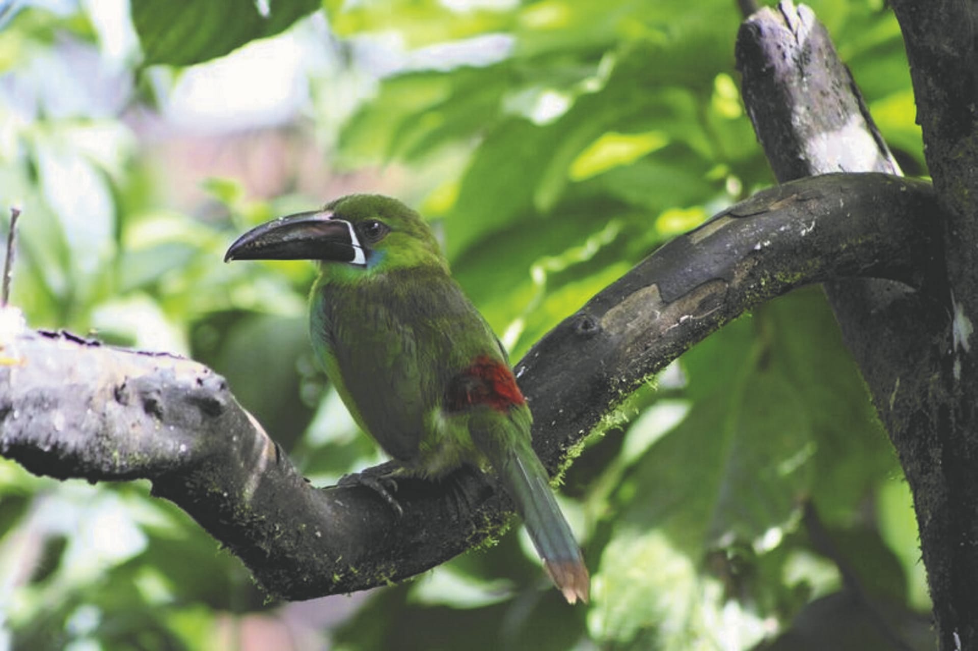 SAM_EC_846_20161014_PP