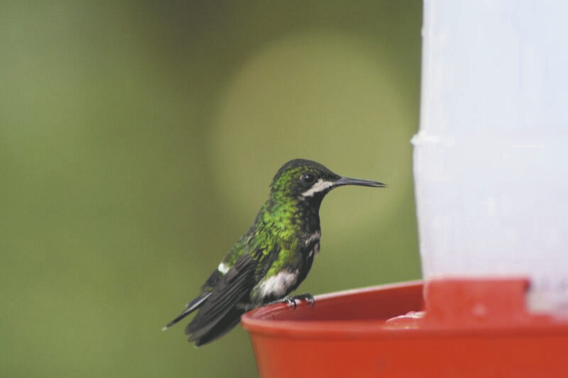 SAM_EC_847_20161014_PP