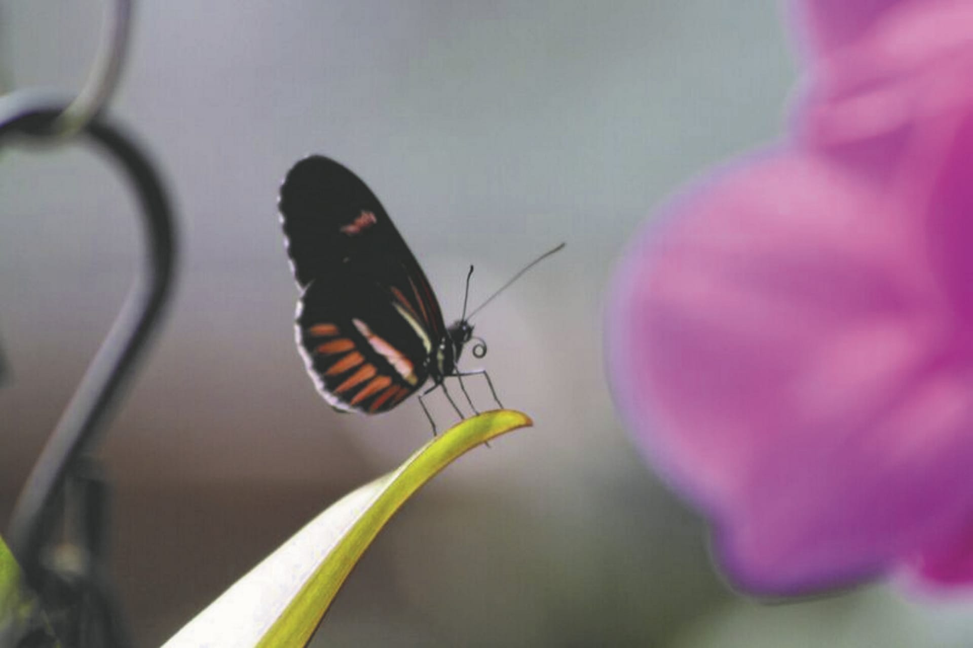 SAM_EC_849_20161014_PP