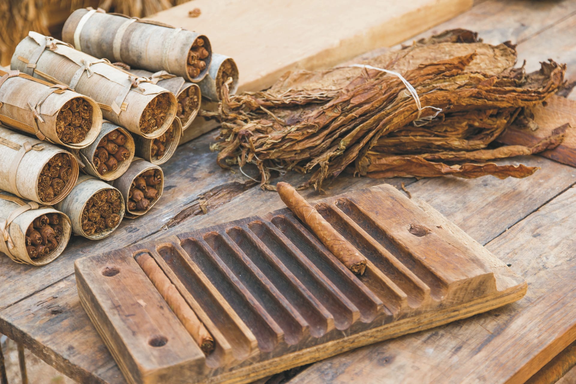 SAM_KUB_20210713_SK_12