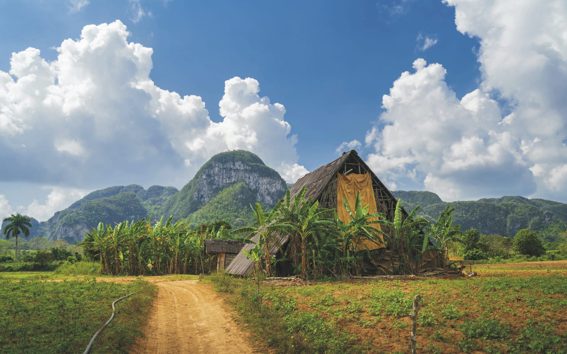 SAM_KUB_20210713_SK_3