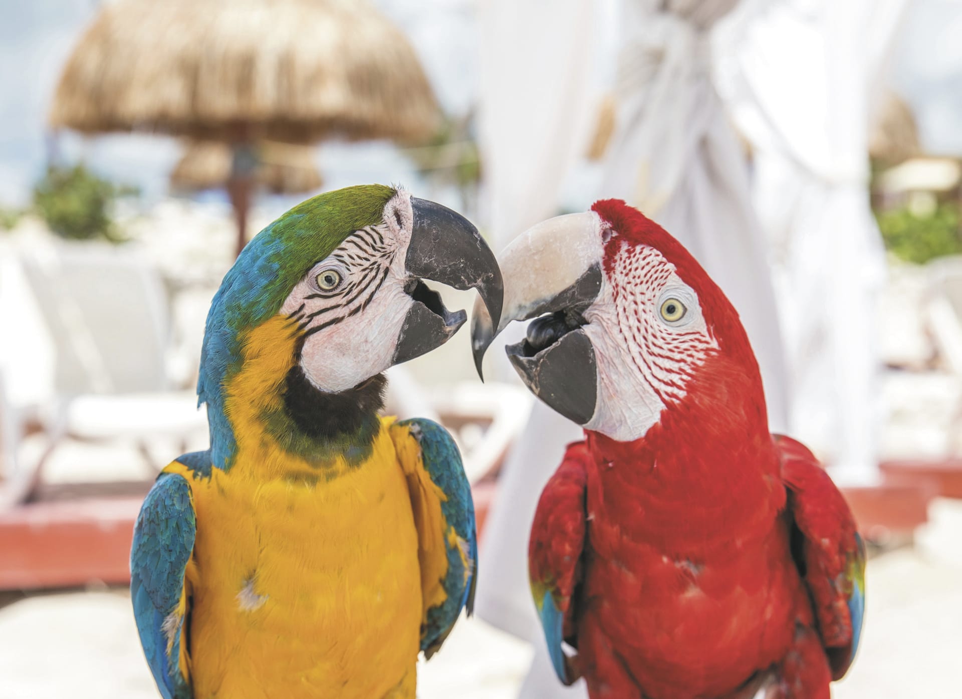 SAM_MEX_20210713_SK_6