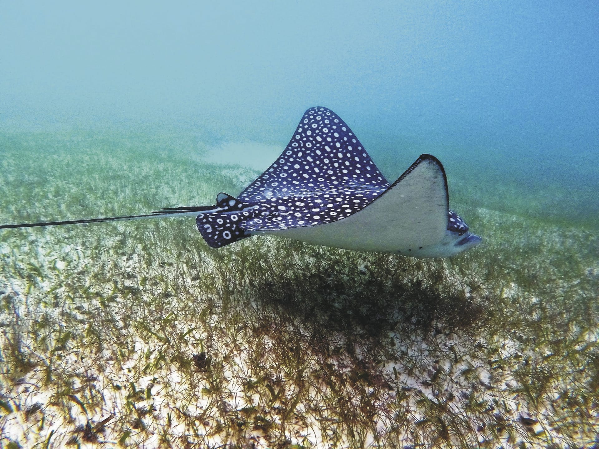 SAM_MEX_20211203_CSA_16