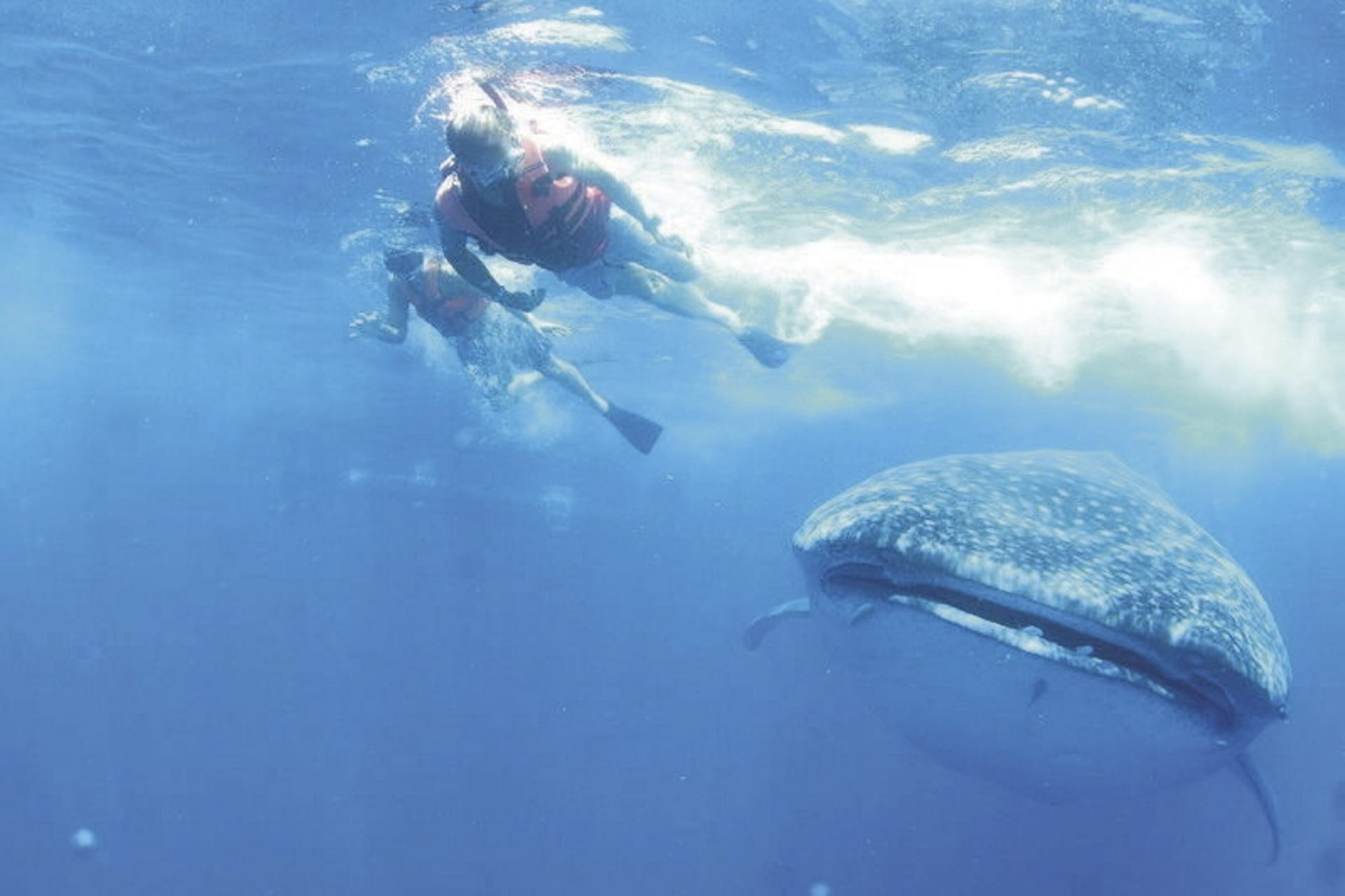 SAM_MEX_20211203_CSA_18