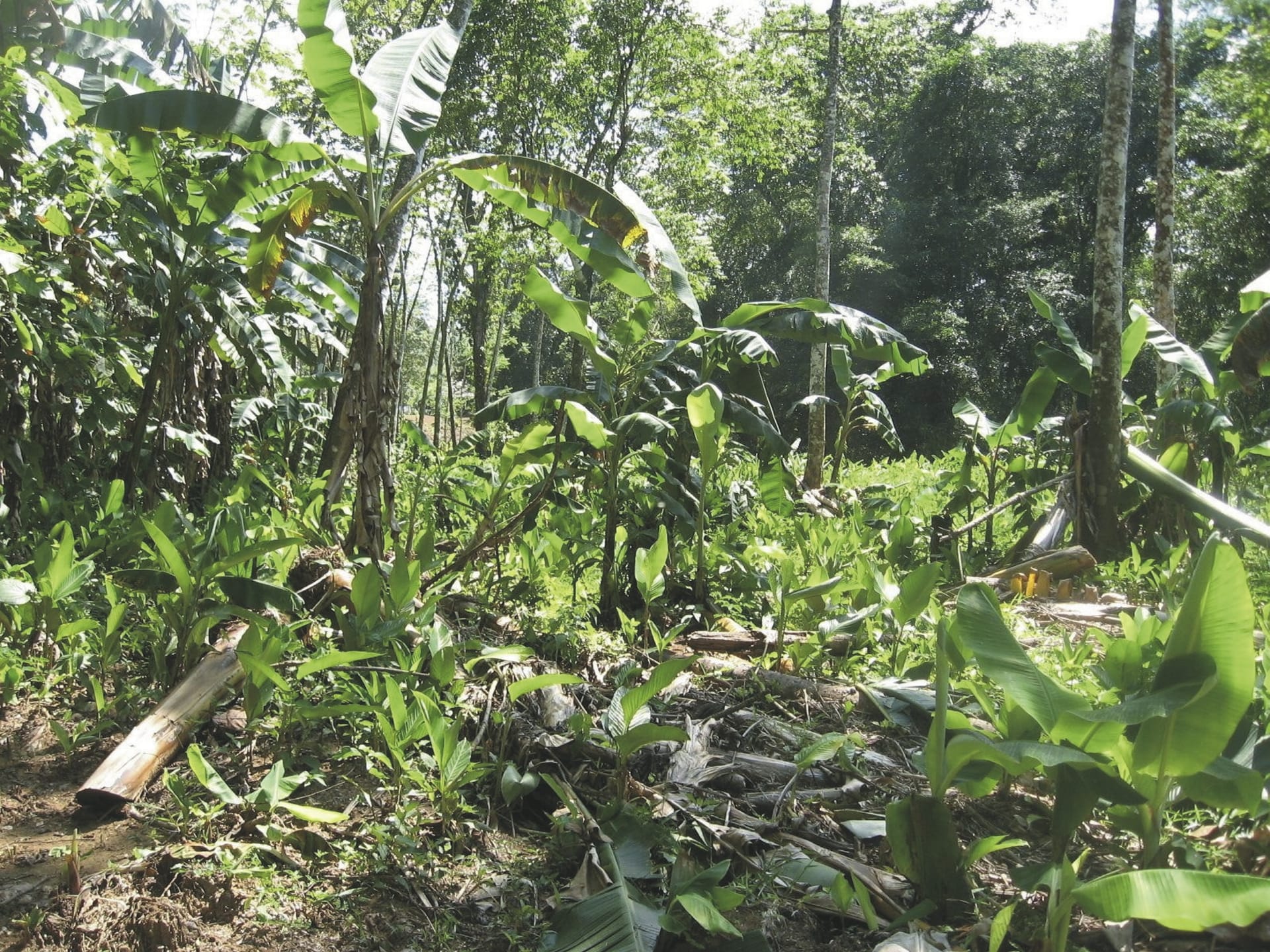 SAM_PA_20211123_NH_8