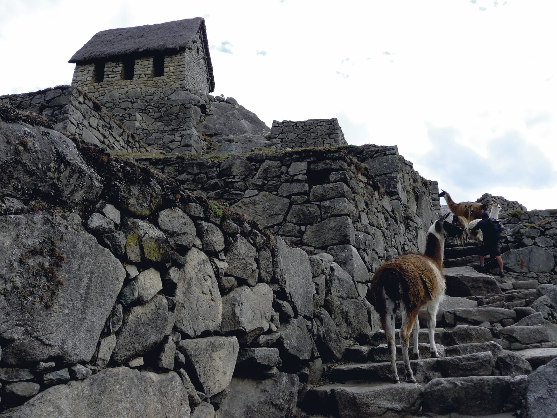 SAM_PE_013_20091022_PP