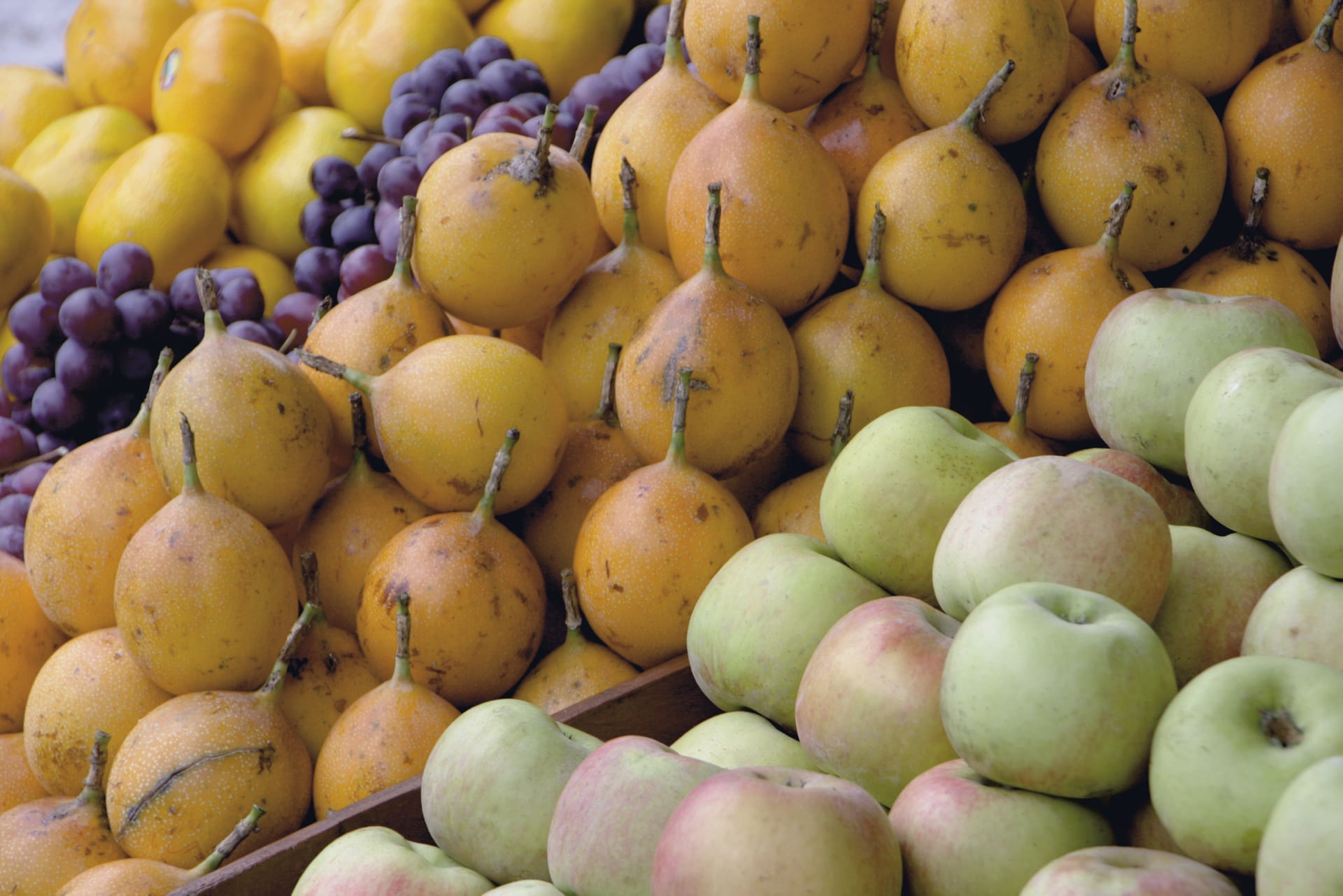 SAM_PE_018_20130625_PP