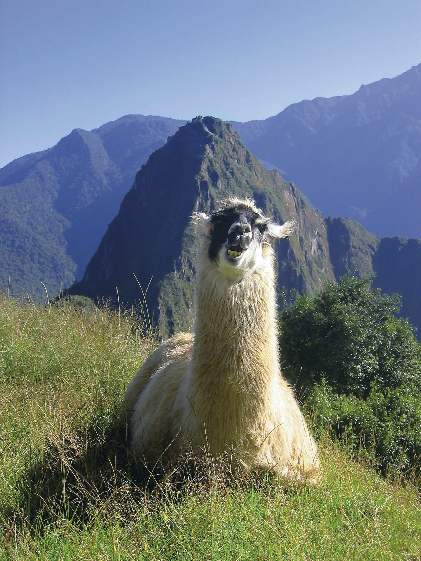 SAM_PE_022_20130919_KA