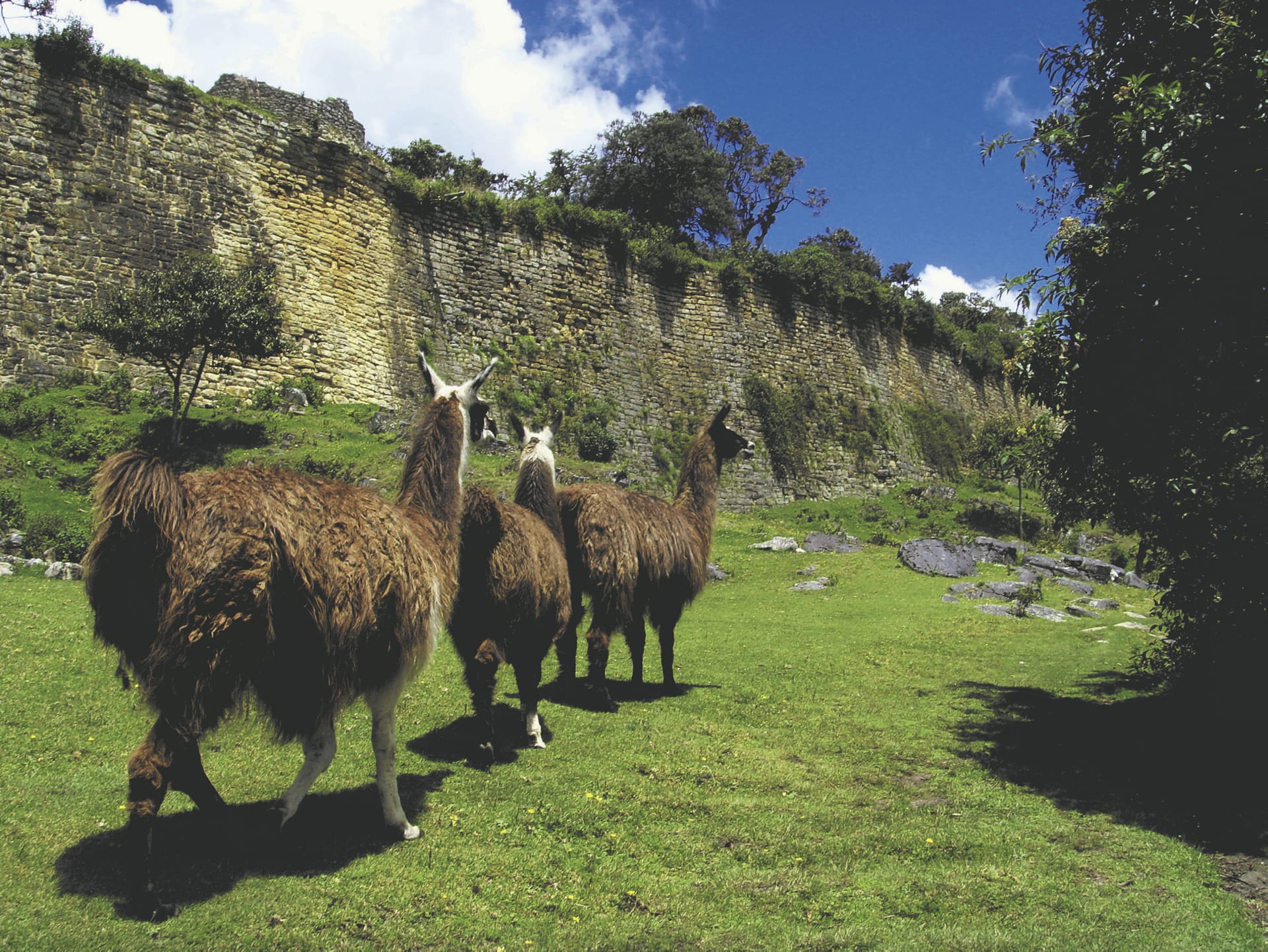 SAM_PE_064_20150905_PP