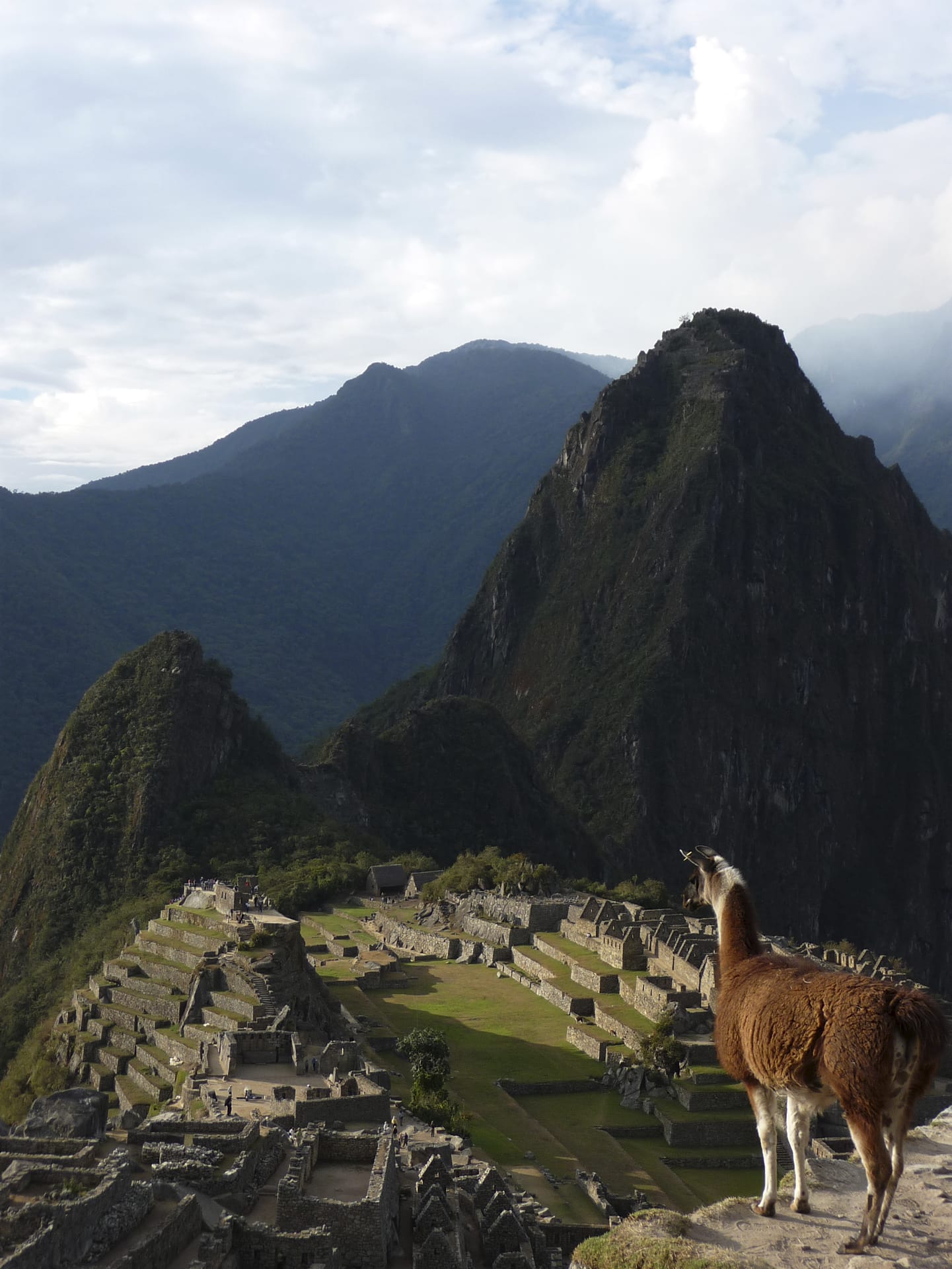 SAM_PE_087_20091021_KA